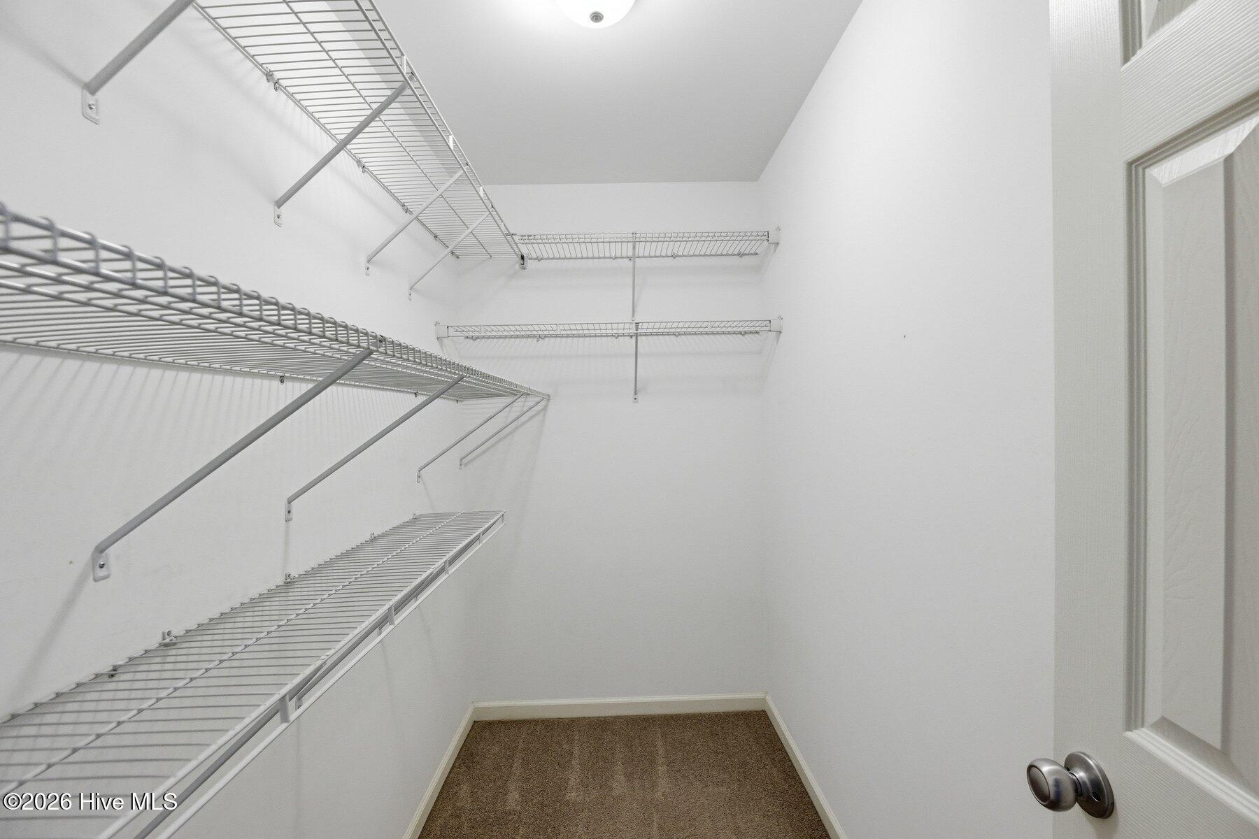 100563197 | Photo 17