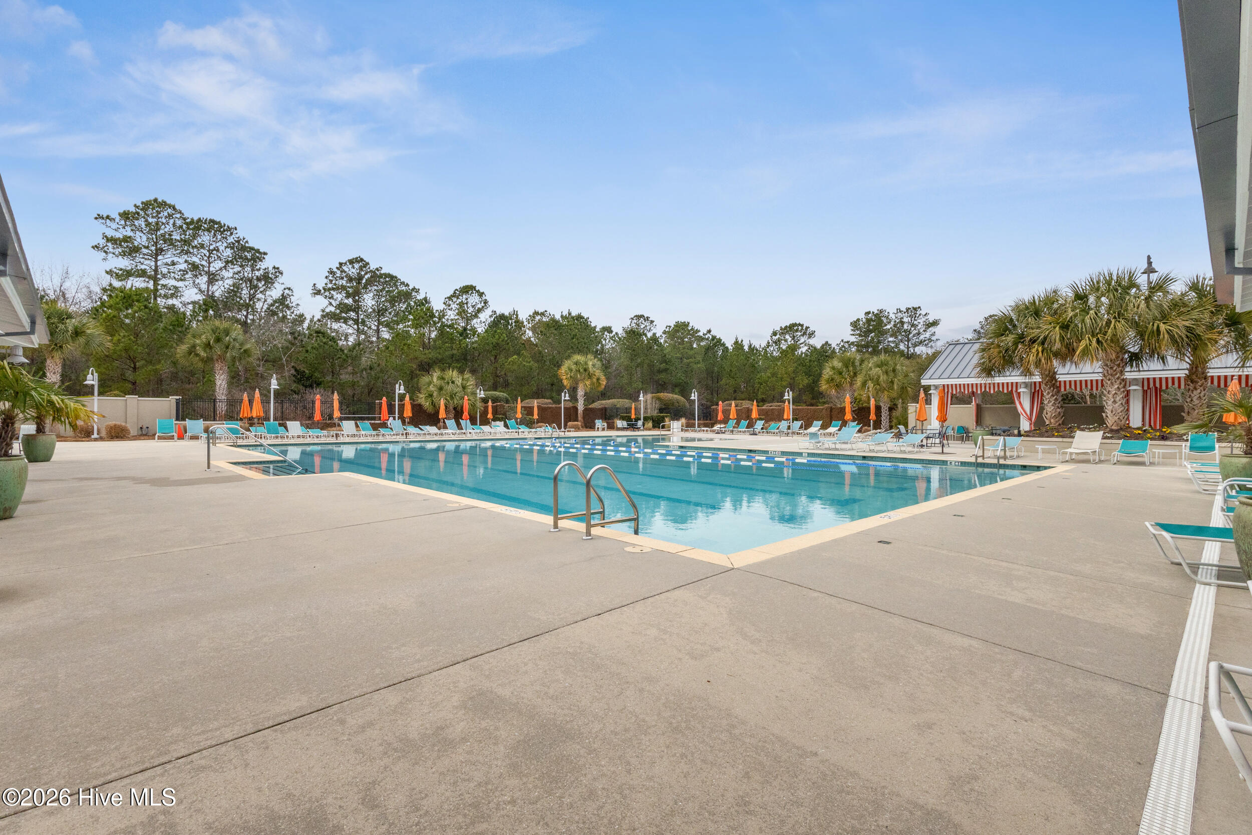 100556114 | Photo 47