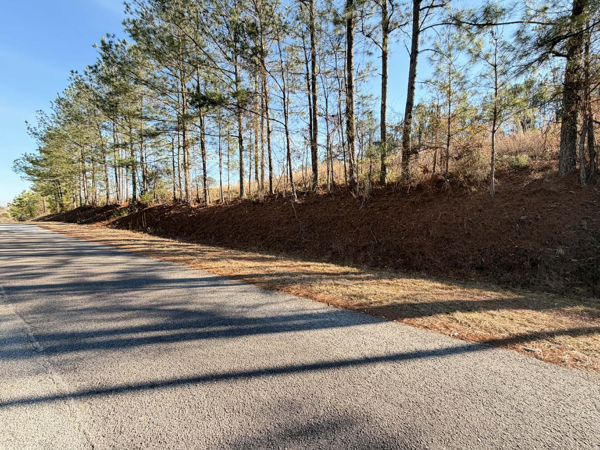 0 Red Fox Drive, Clarks Hill, SC, 29821