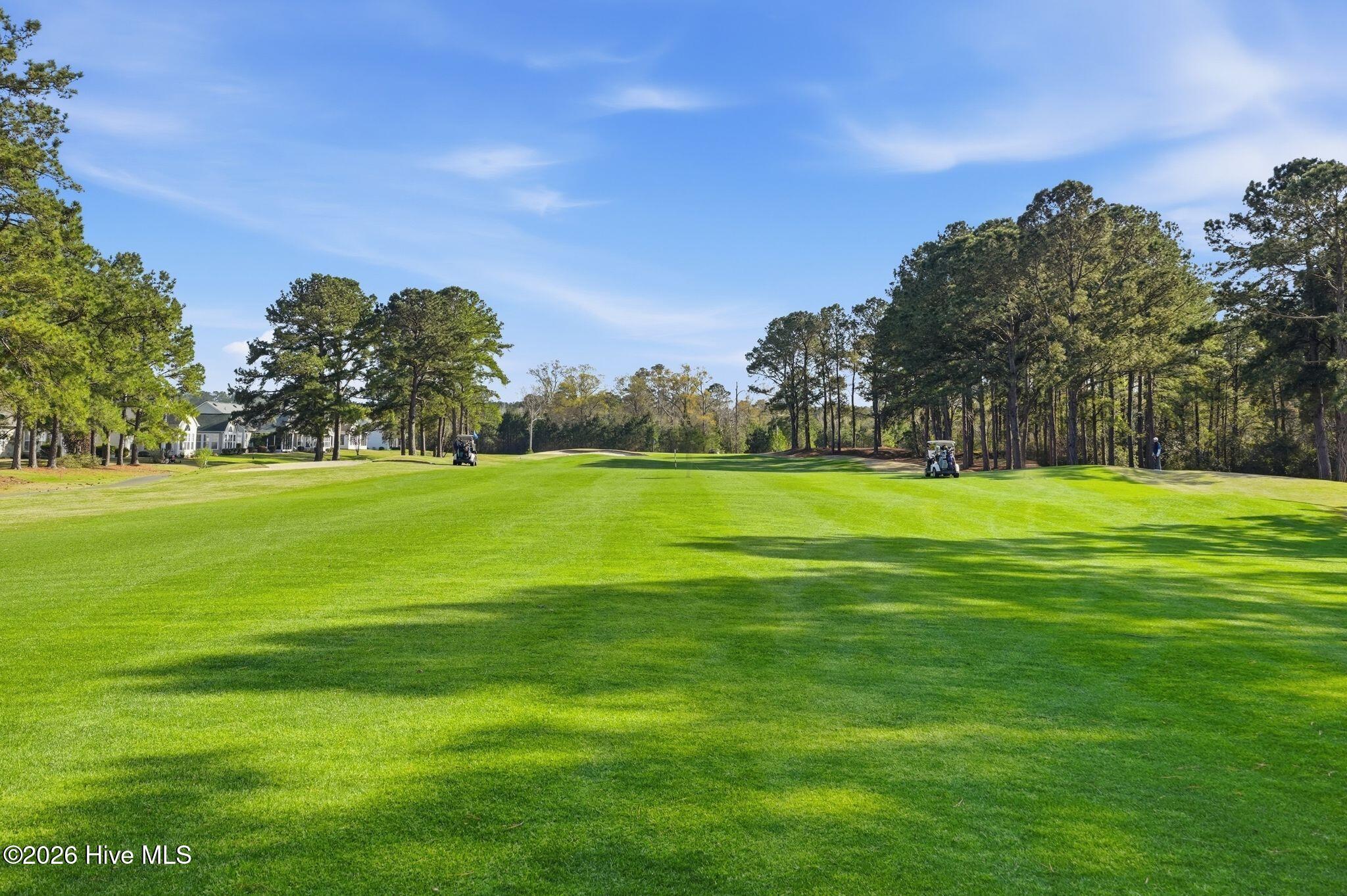 100560639 | Photo 47