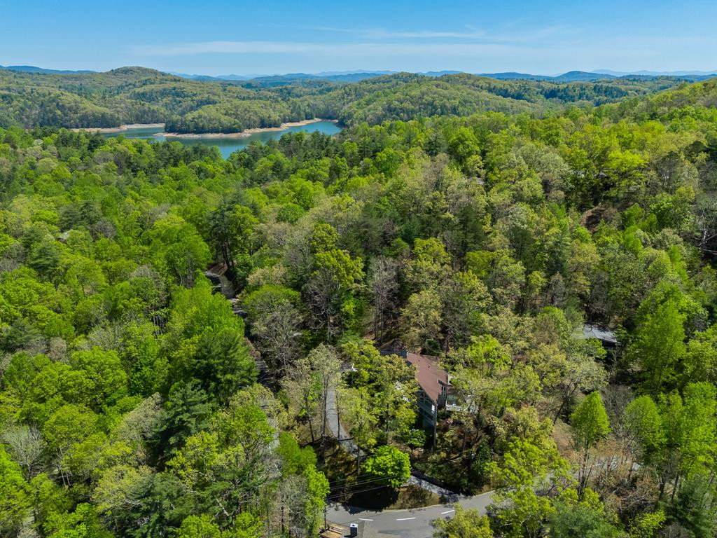 1240 Village Road, Murphy, NC 28906 Listing Photo  82