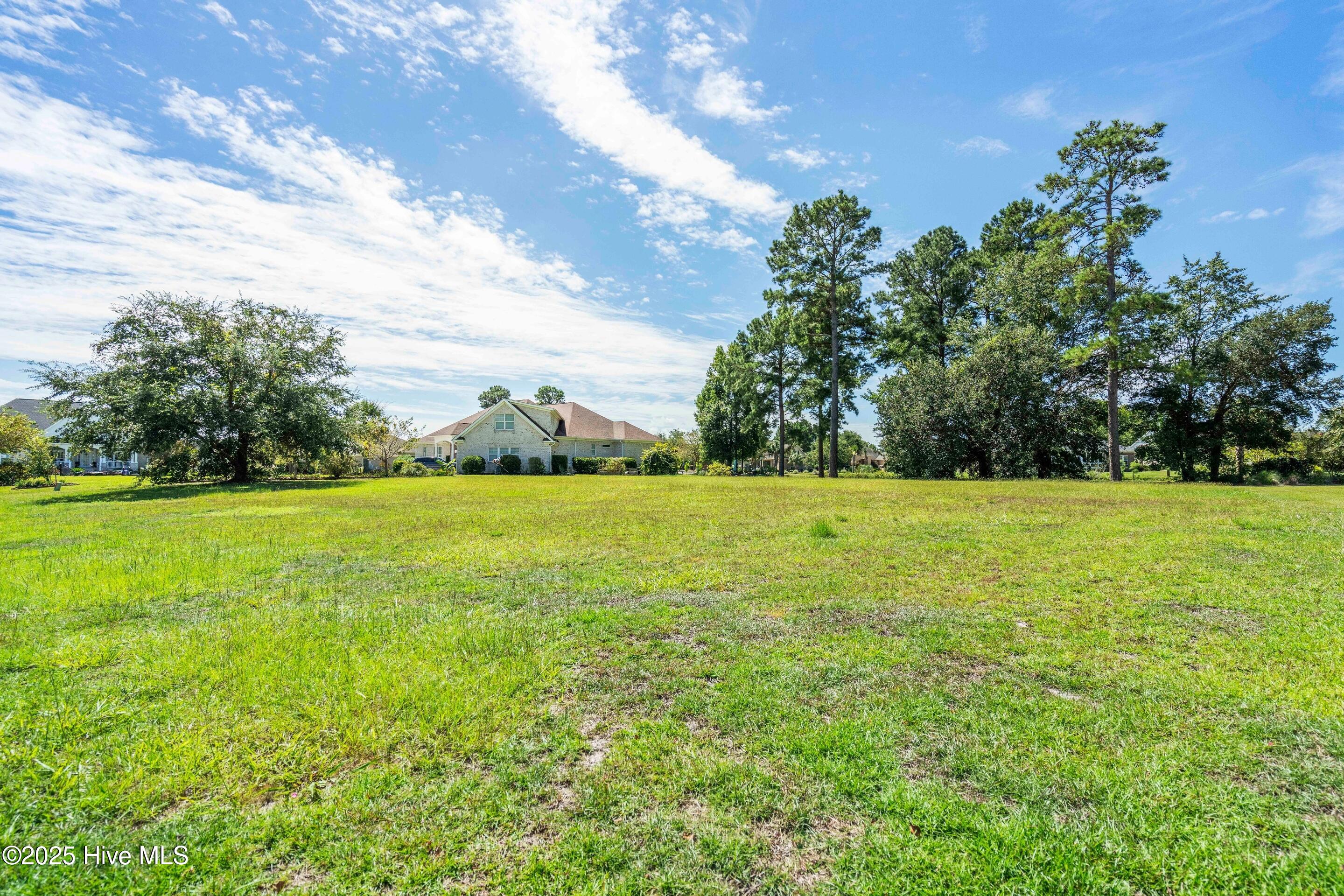 100534642 | Photo 20