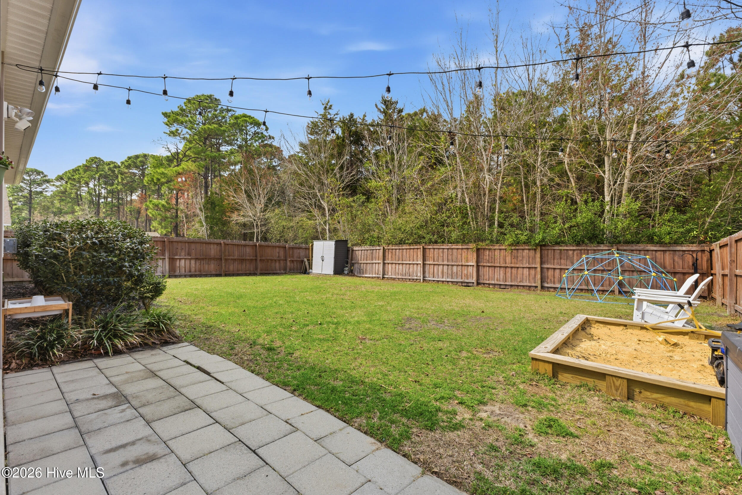 100557196 | Photo 25