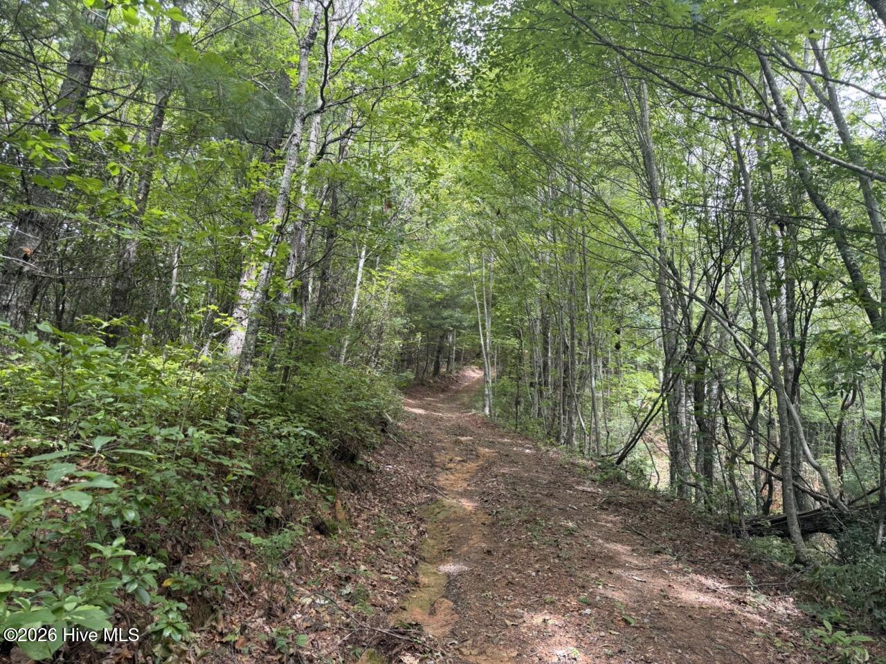 3rd image of 760 Cliff Top Trl, Andrews, NC 28901 | MLS# 100593974