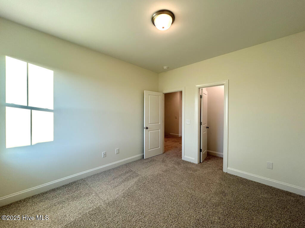 100510089 | Photo 63