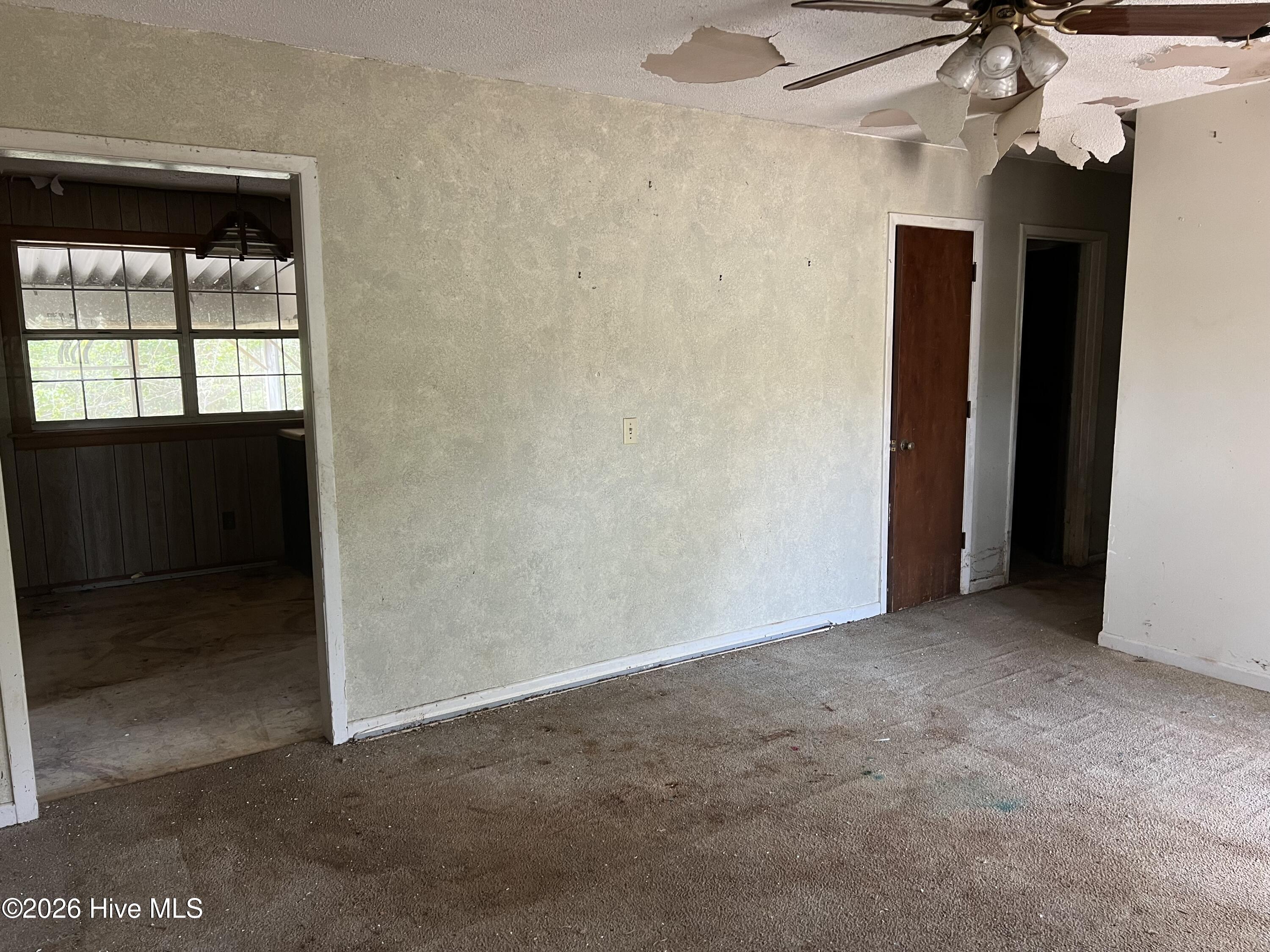 100562853 | Photo 15