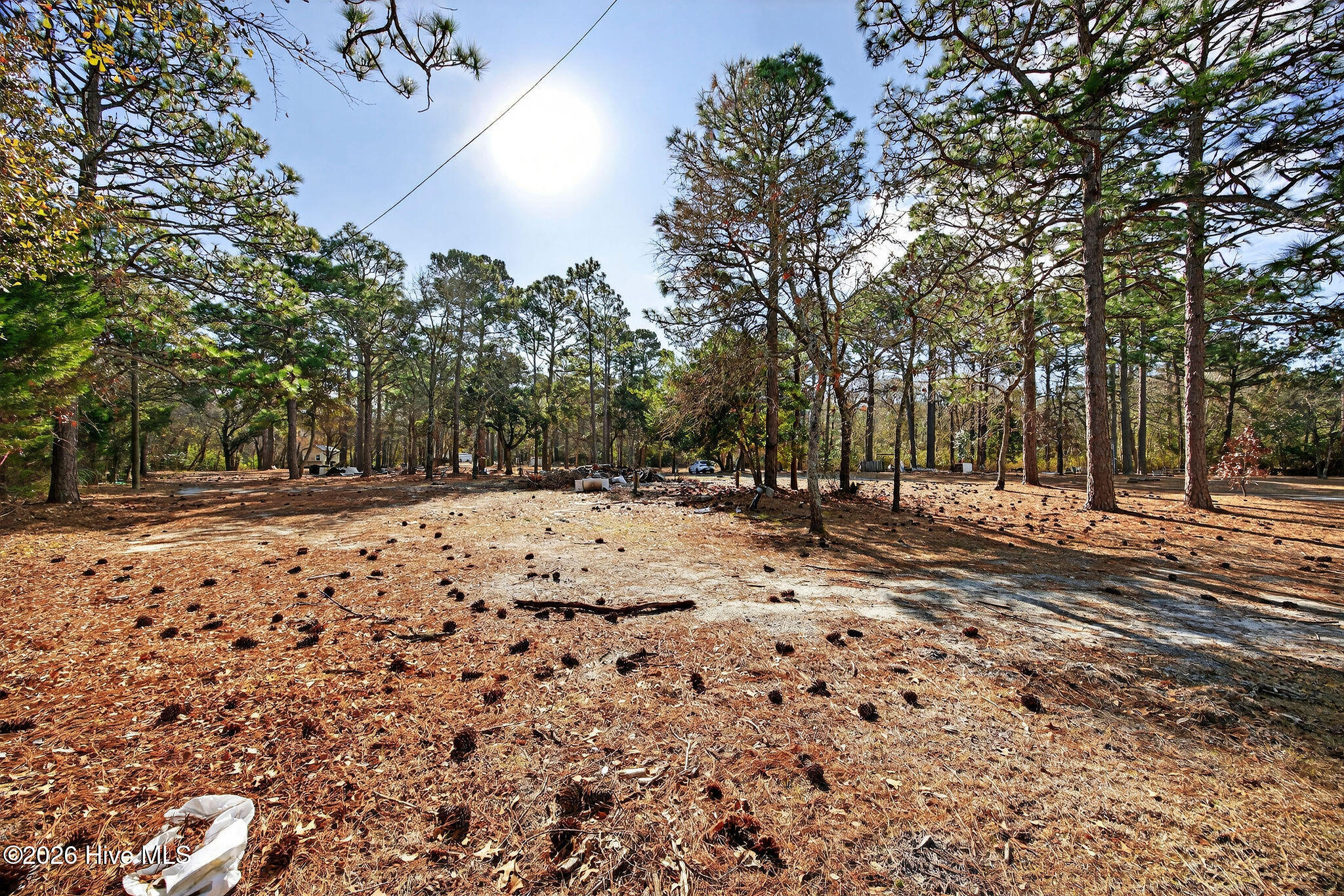 100552398 | Photo 35