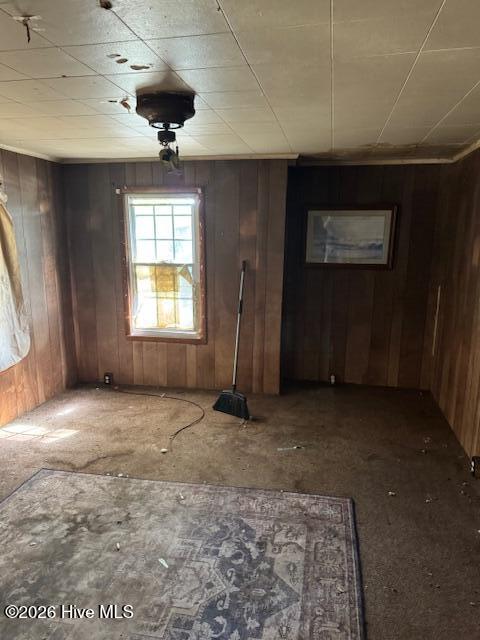 100568632 | Photo 21