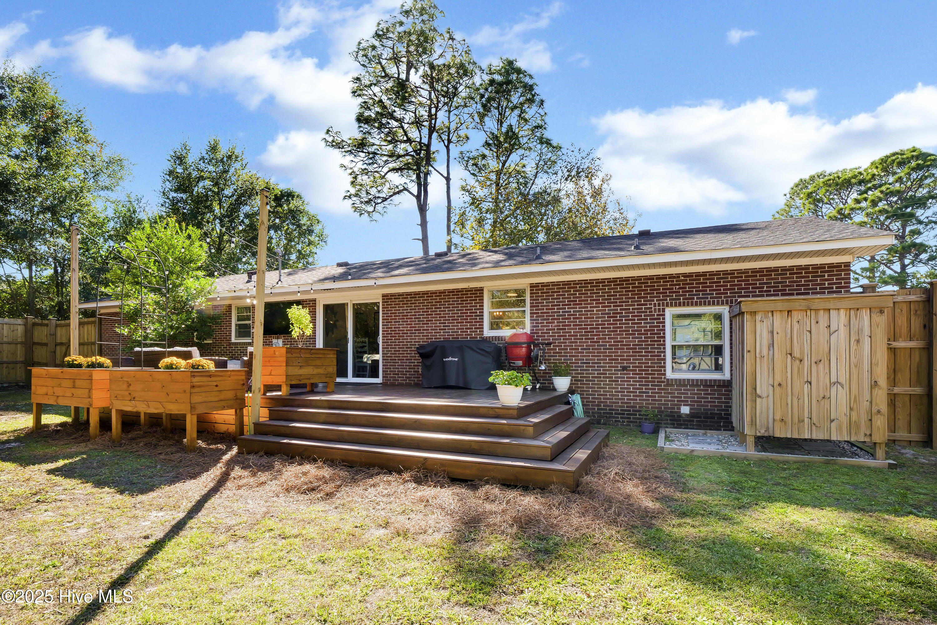 100537526 | Photo 23