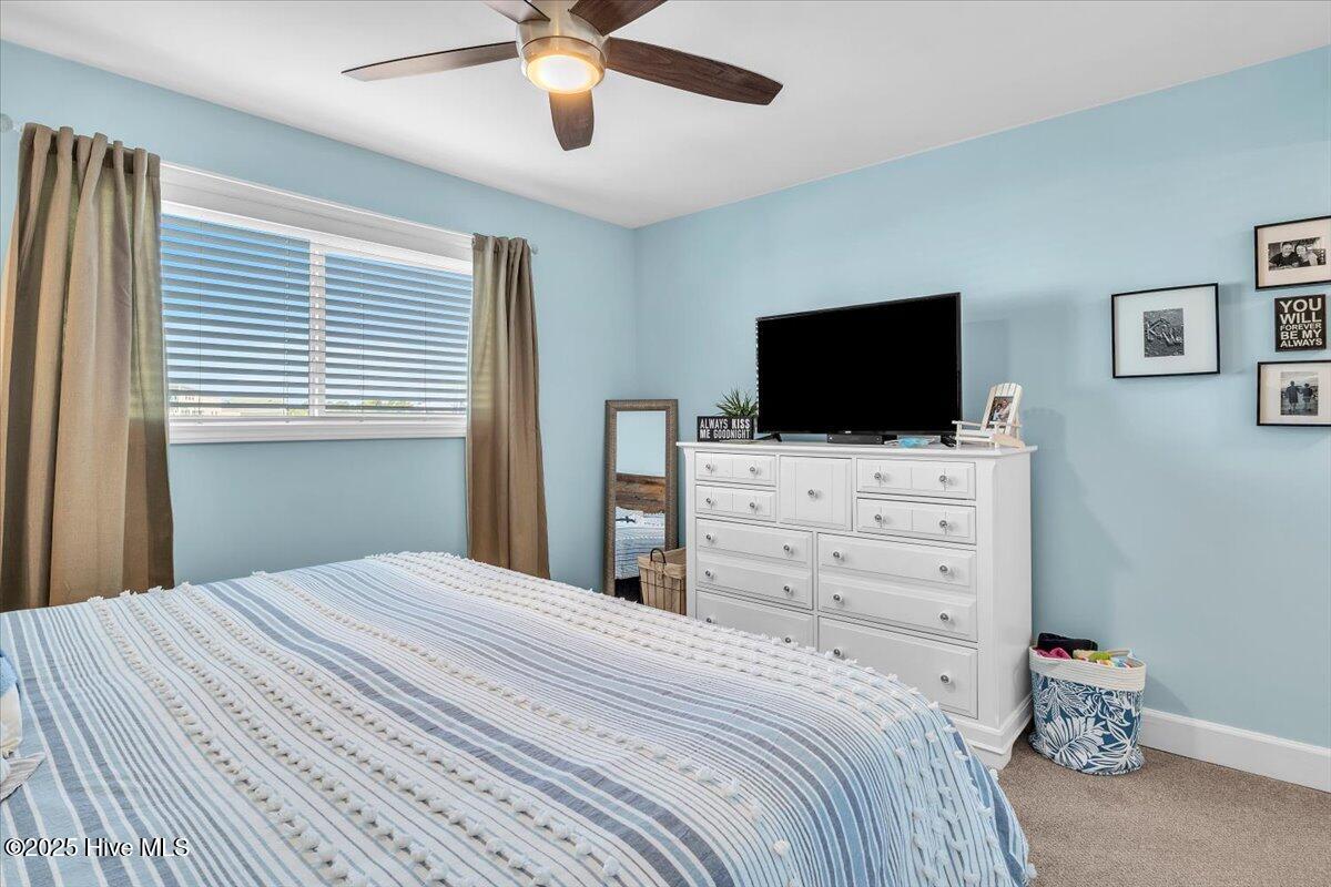 100558526 | Photo 19