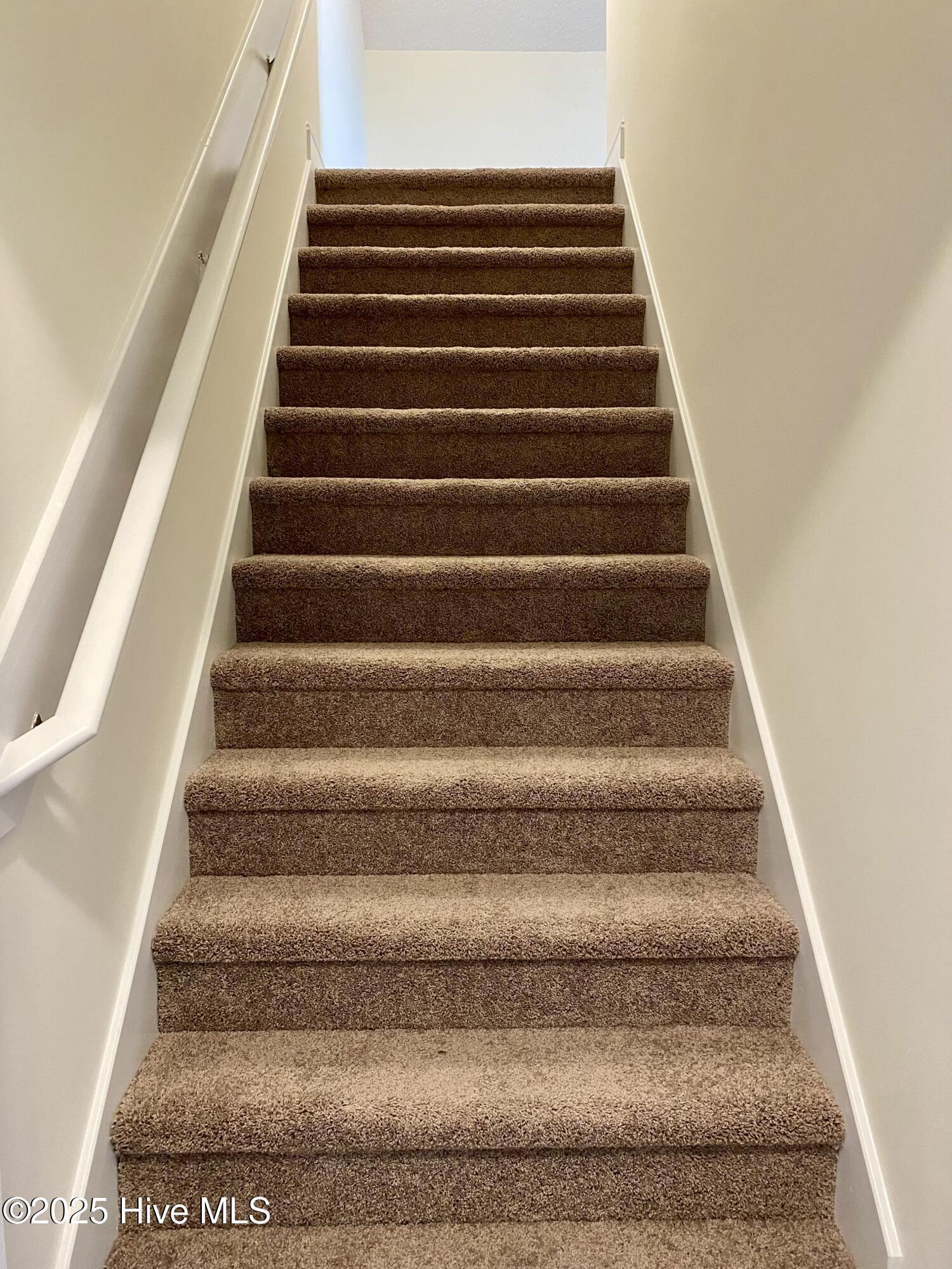 100483147 | Photo 27