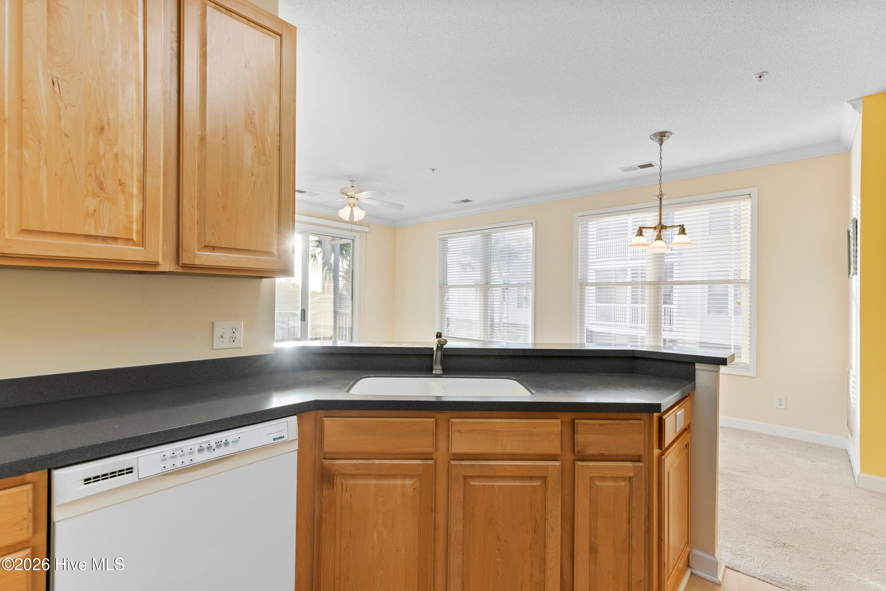 100548206 | Photo 25