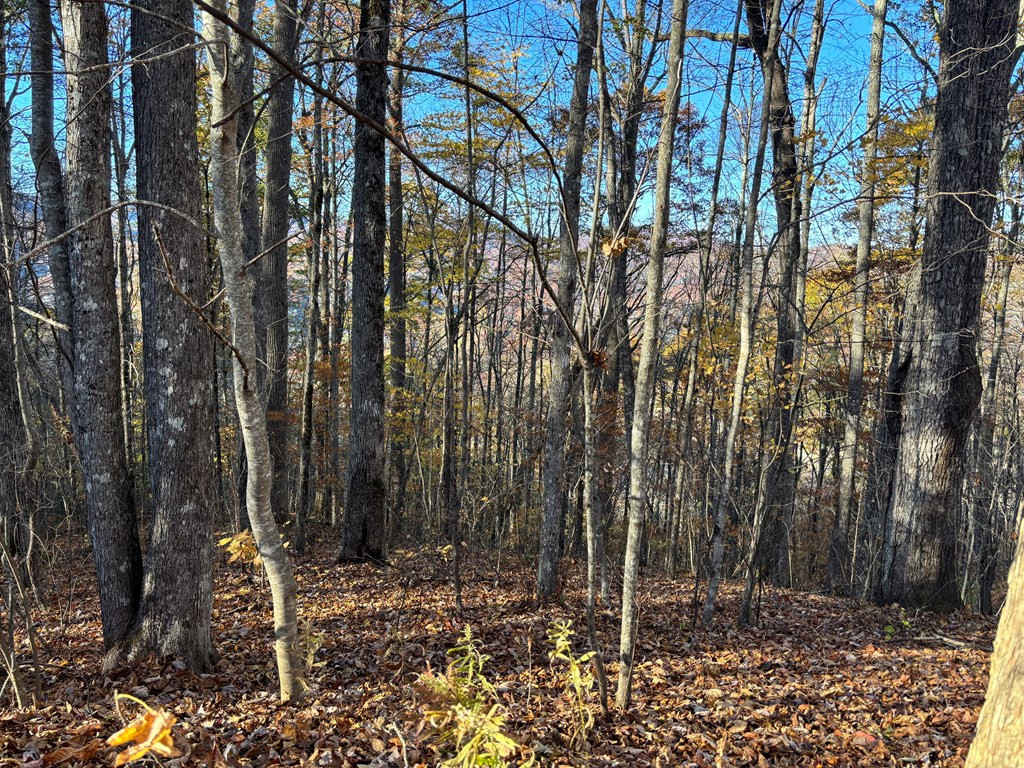 Exterior photo of Lot#39 Falcon Stone Ridge, Nantahala, NC 28781. MLS: 98544051