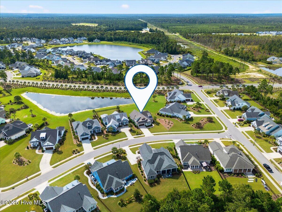 100537556 | Photo 55