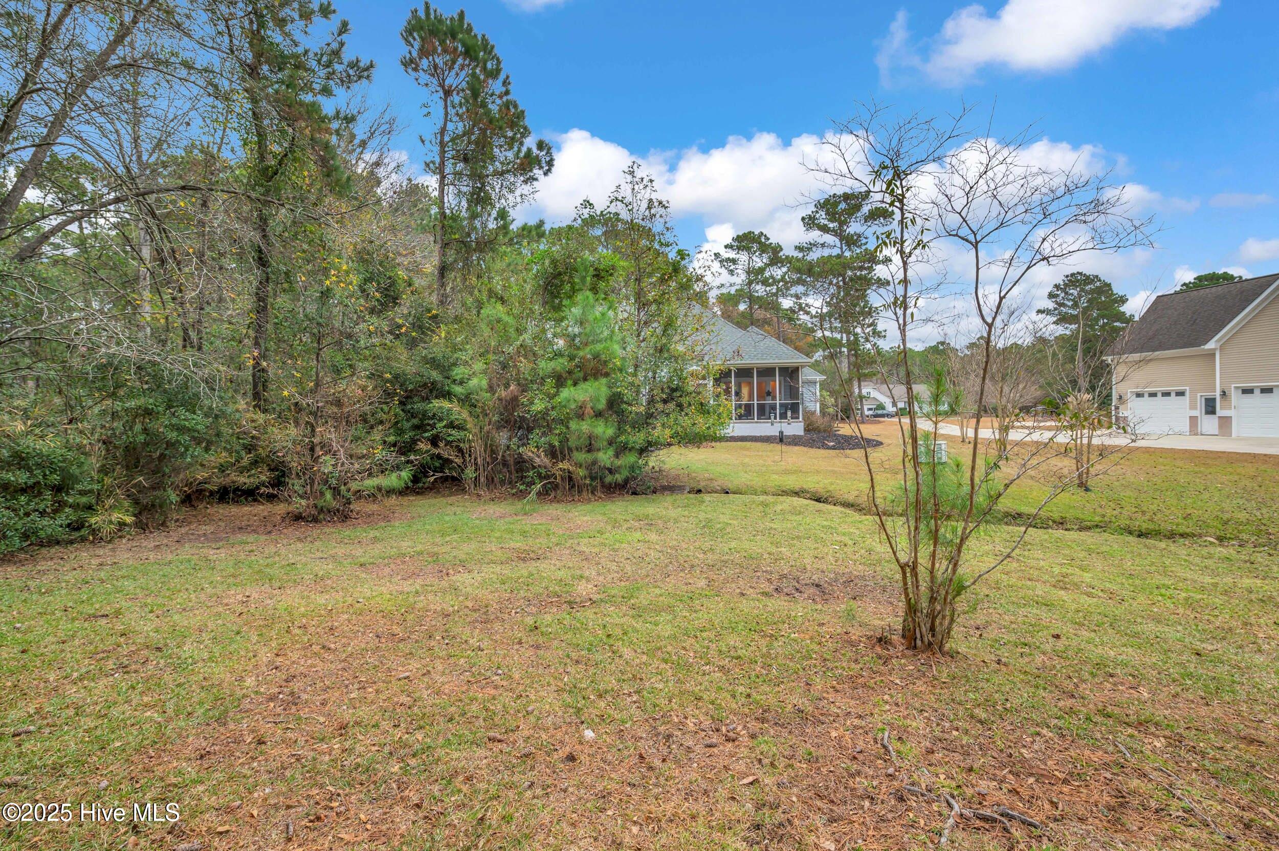 100542764 | Photo 43