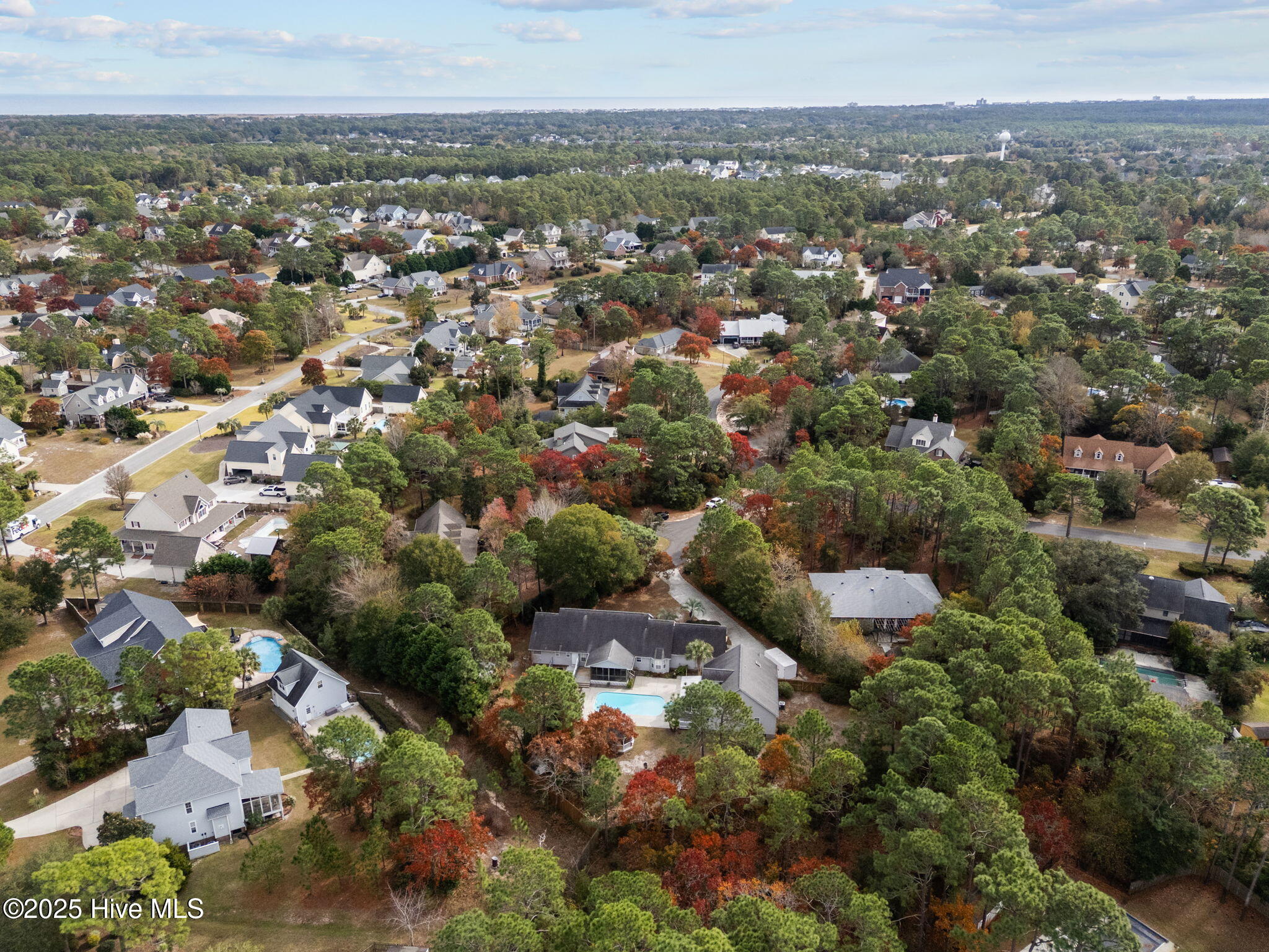 100543111 | Photo 48