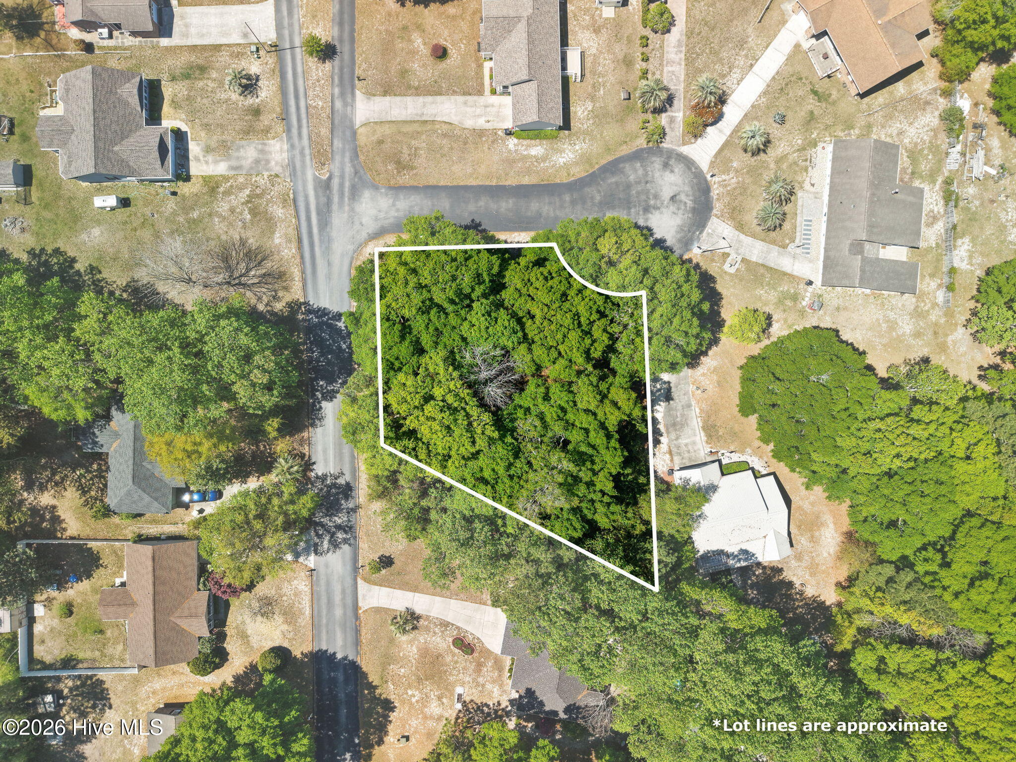 100566837 | Photo 11