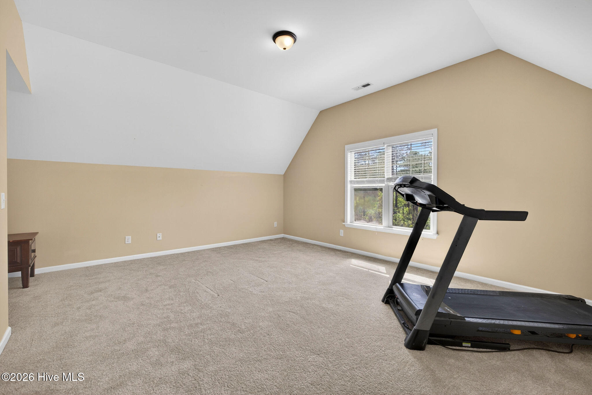 100568620 | Photo 28