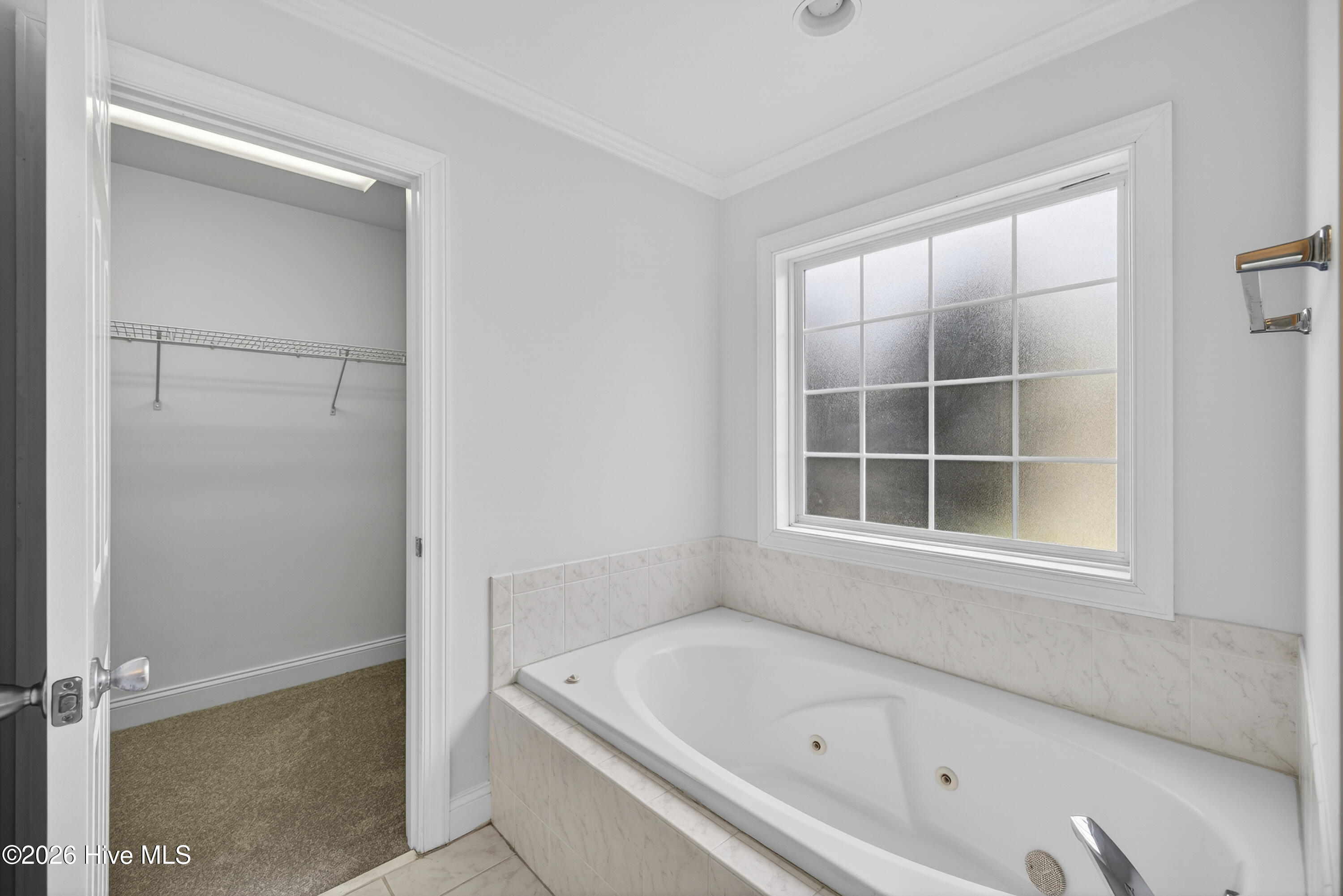 100563157 | Photo 18