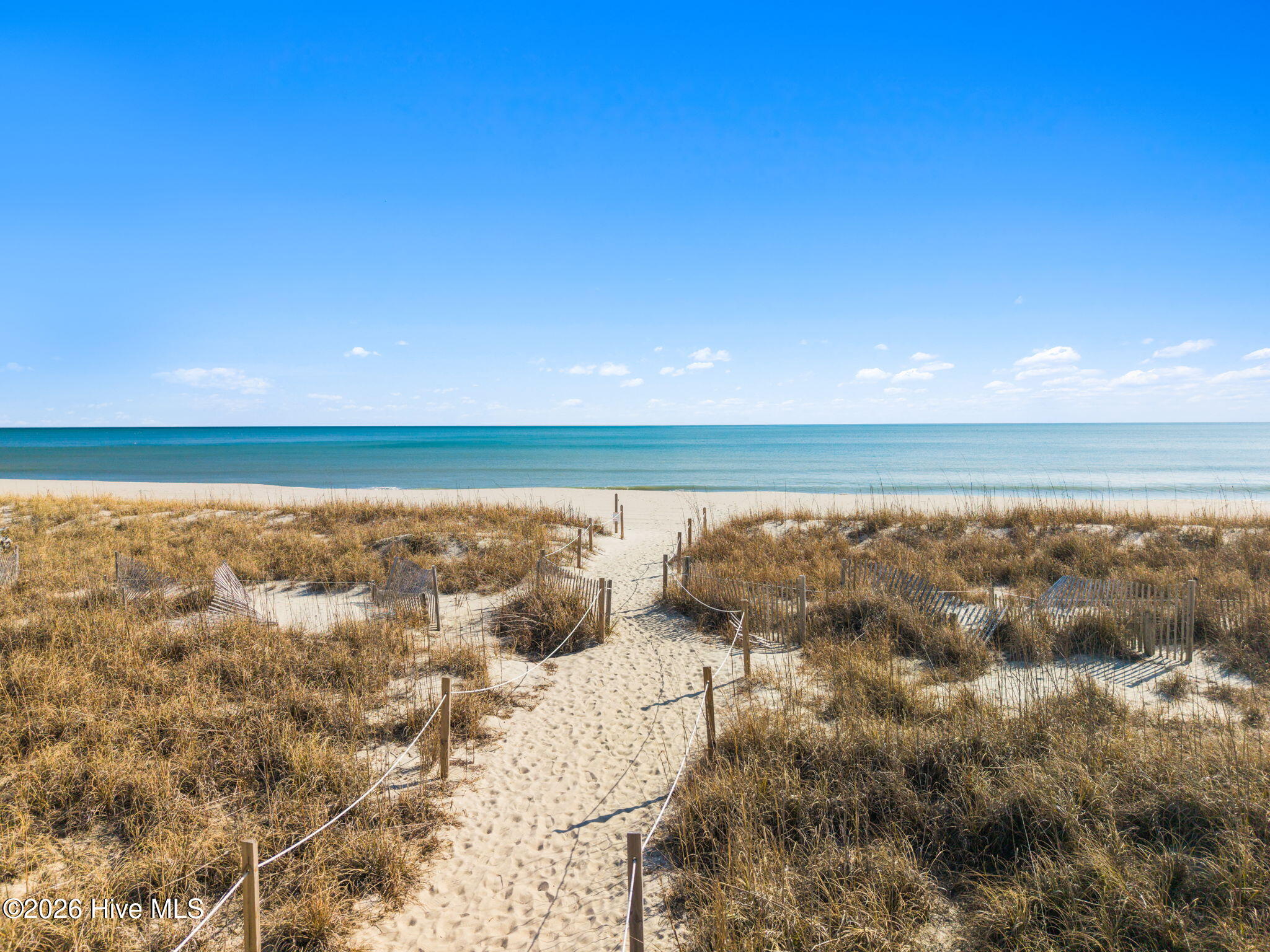 100553599 | Photo 68