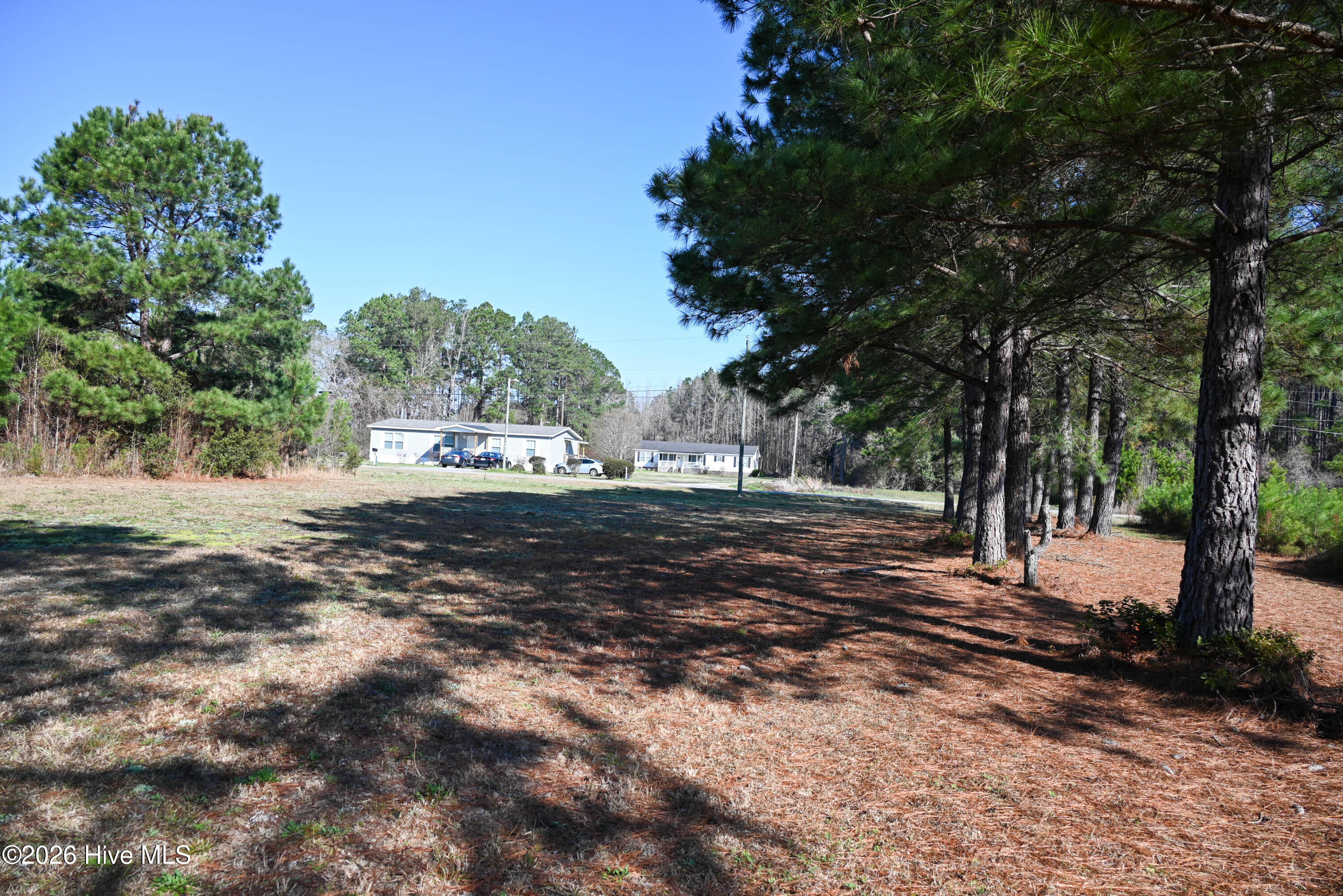 100560038 | Photo 31