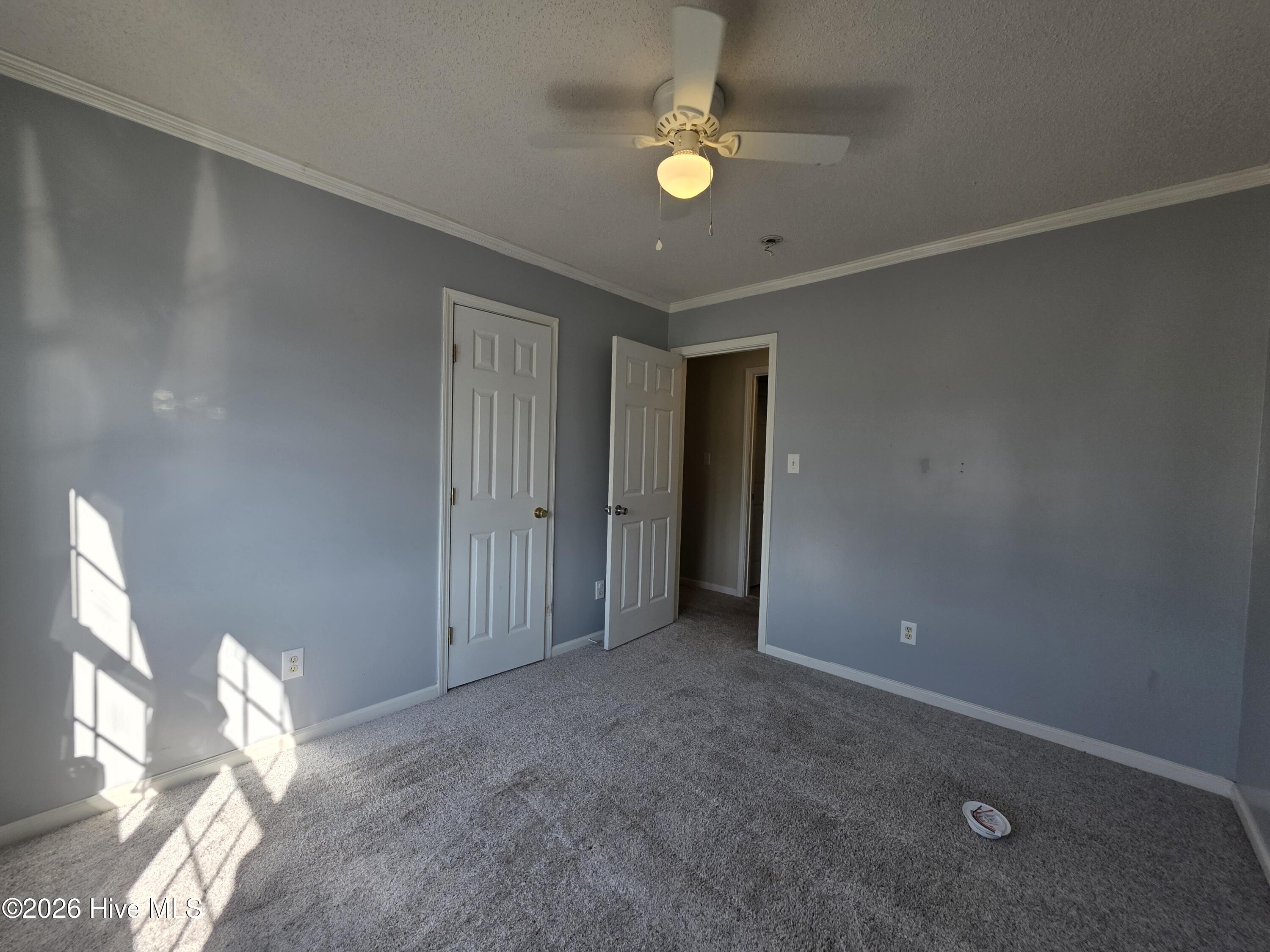 100553937 | Photo 13