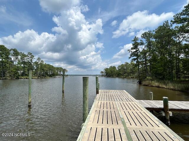 1039 Pasture Point Road,Merritt