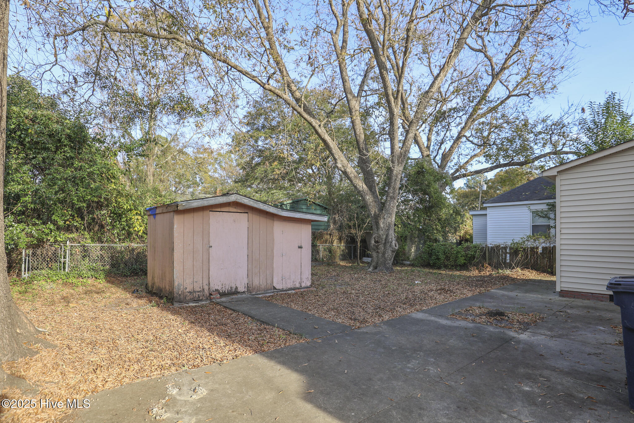 100542091 | Photo 43