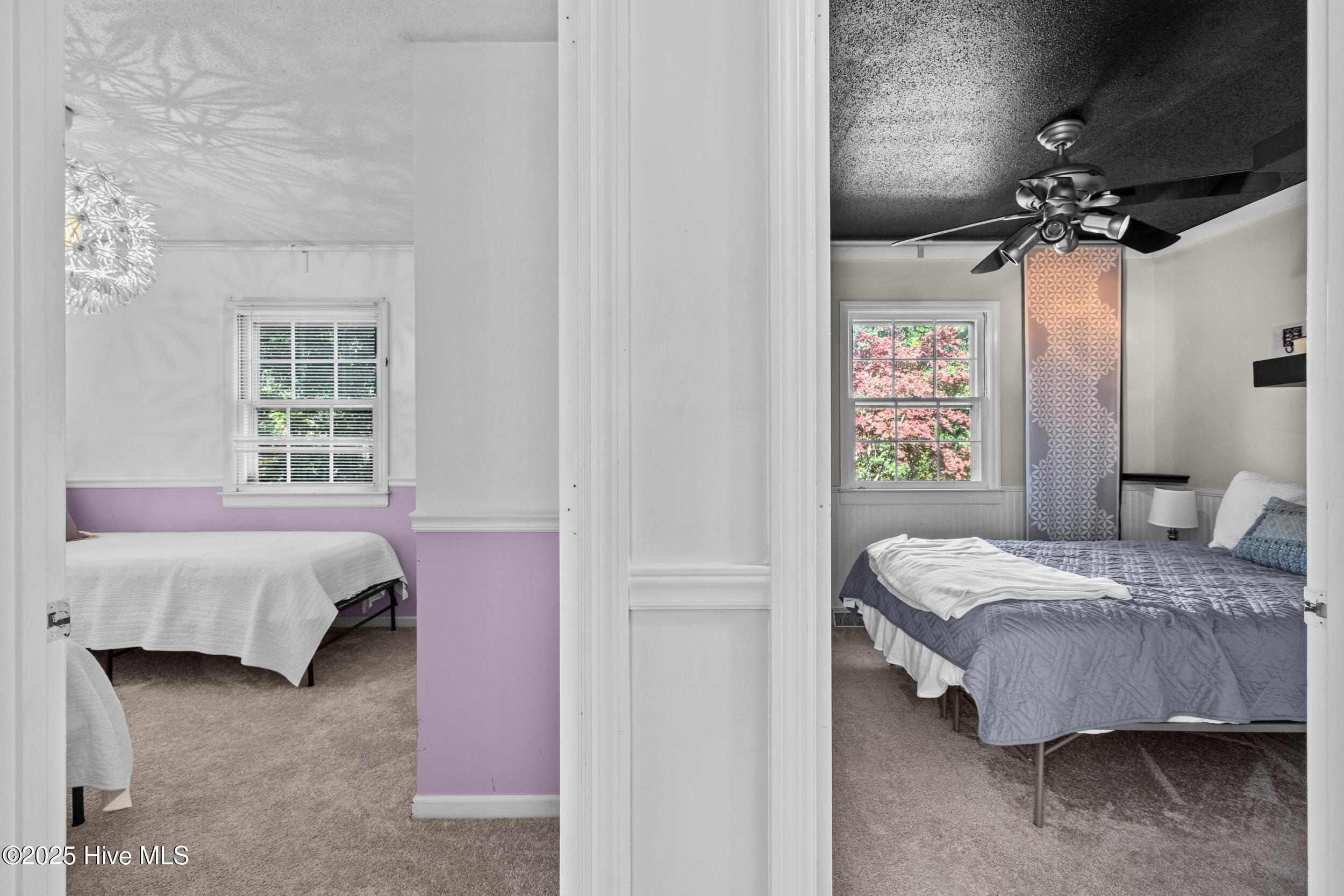 100537908 | Photo 23