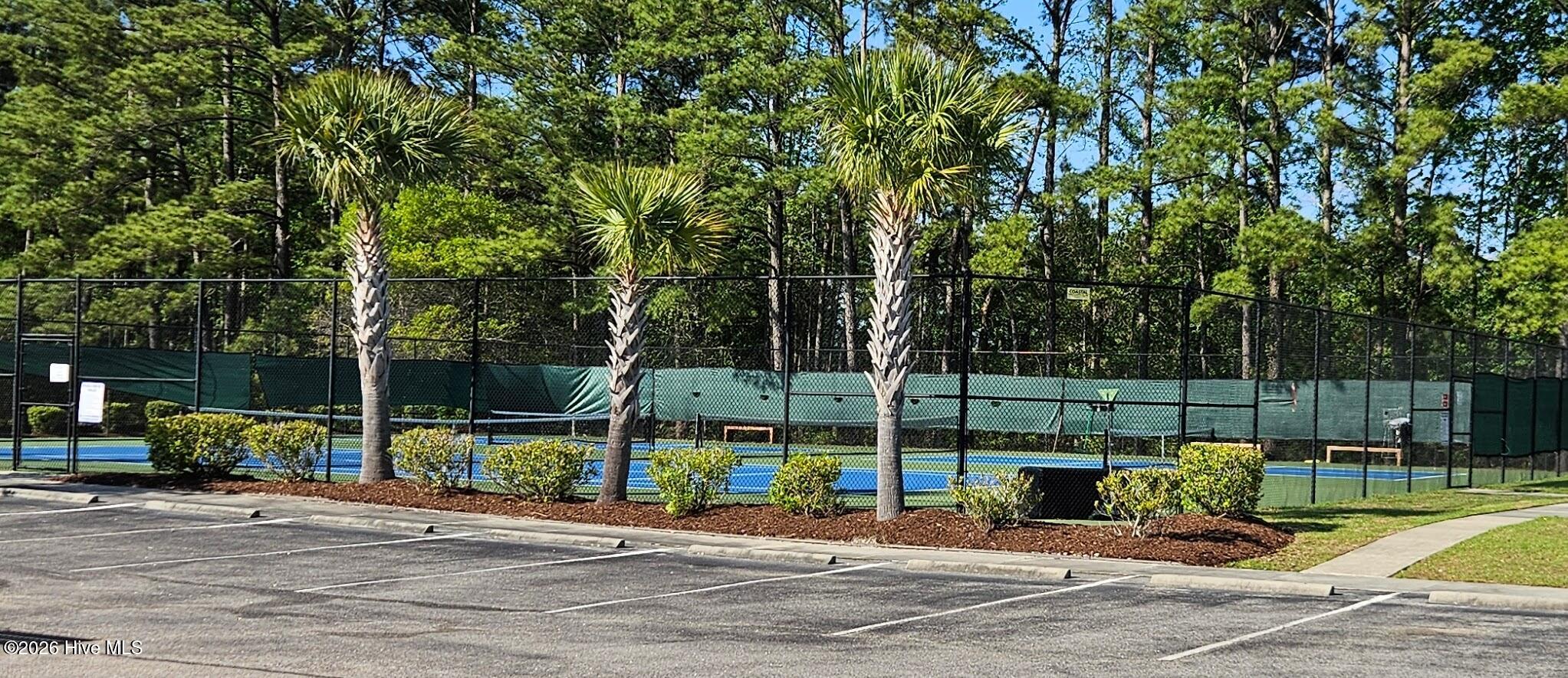 100557894 | Photo 34