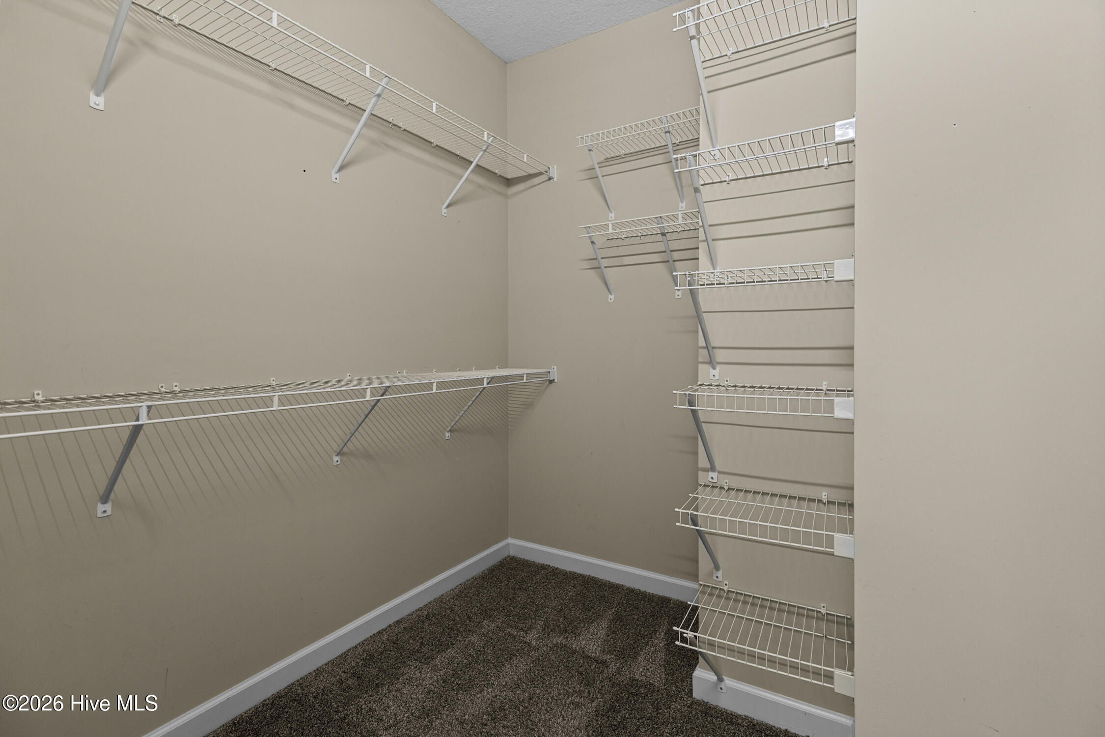 100548143 | Photo 27