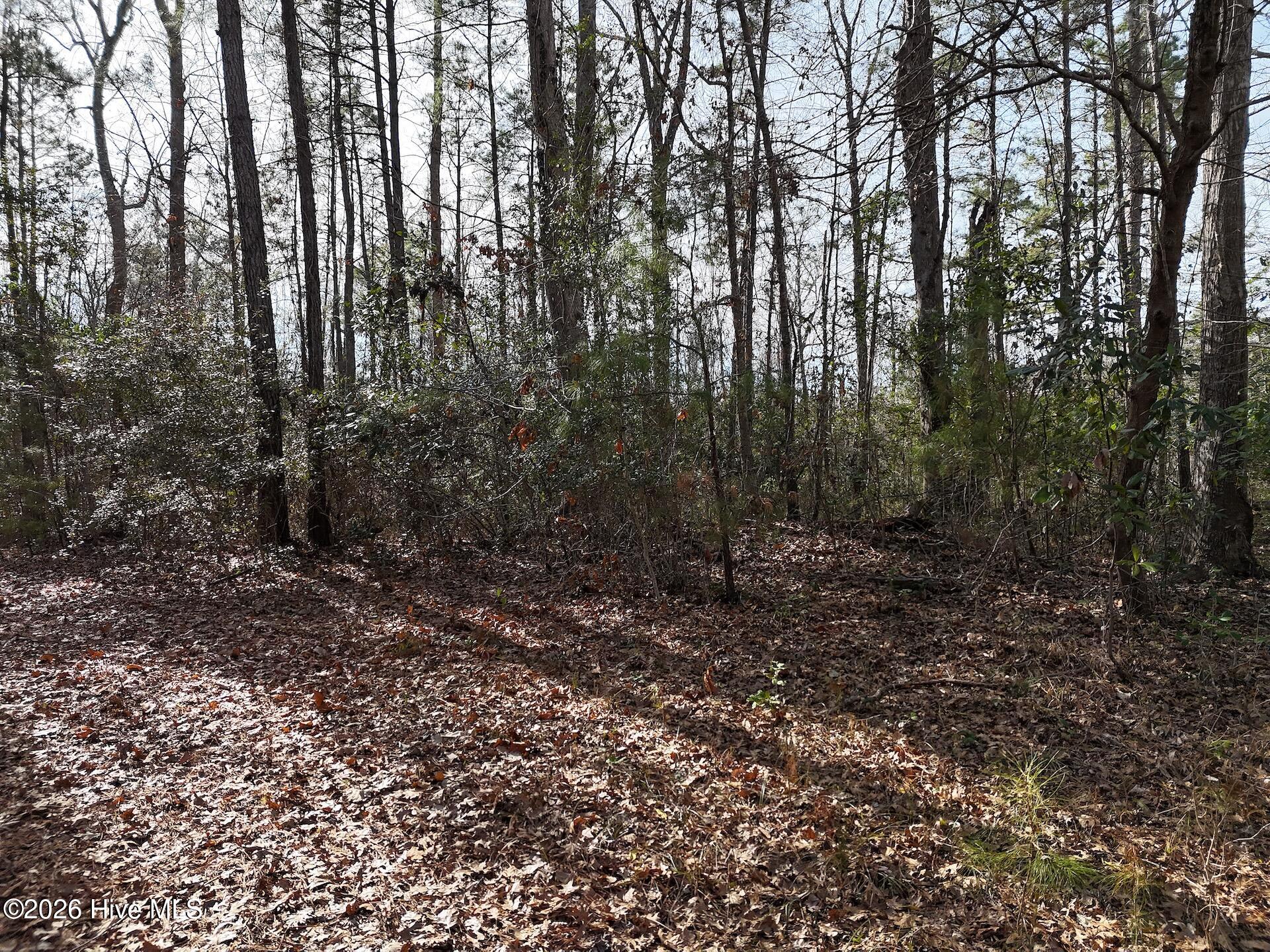 100556316 | Photo 12