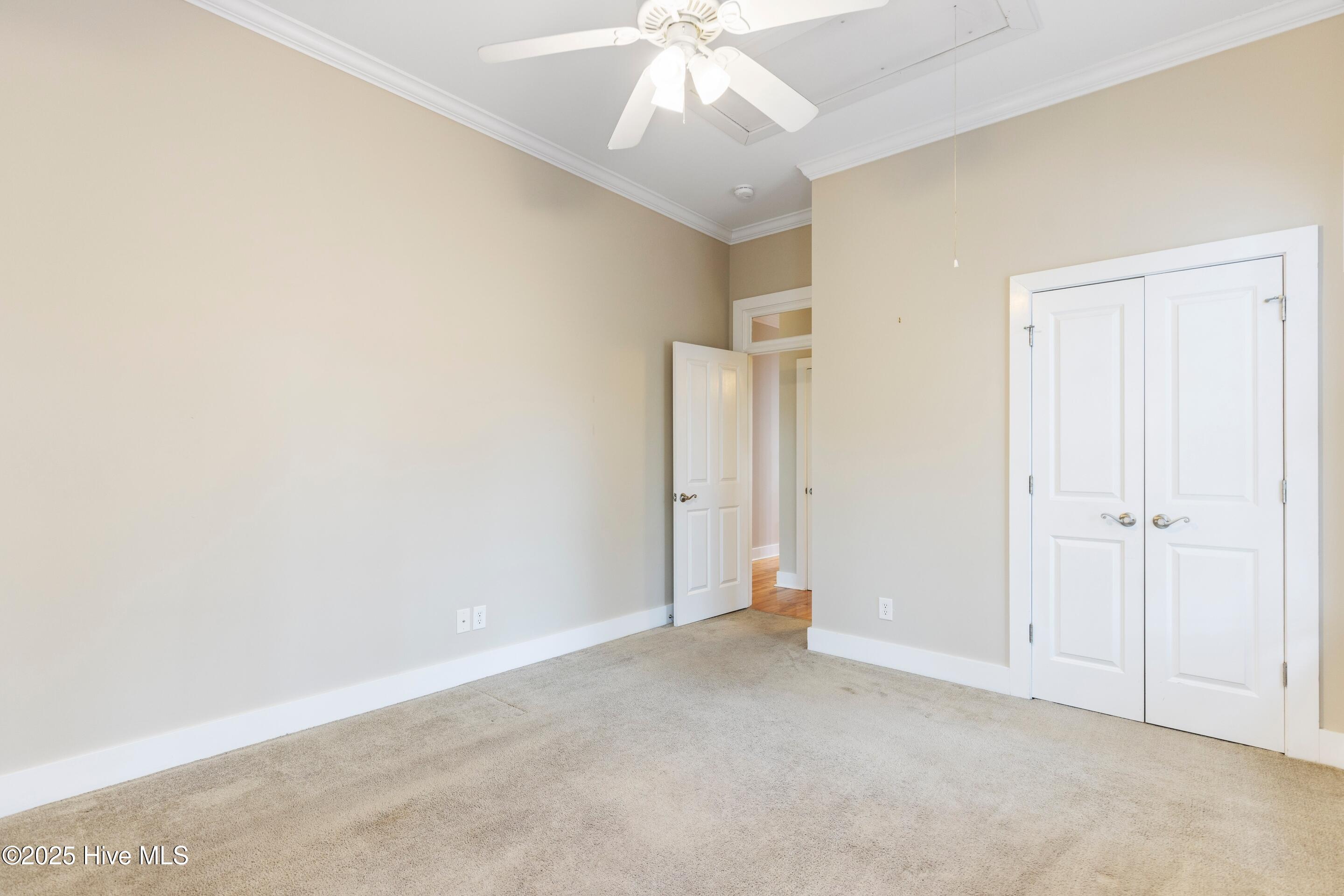 100534739 | Photo 18