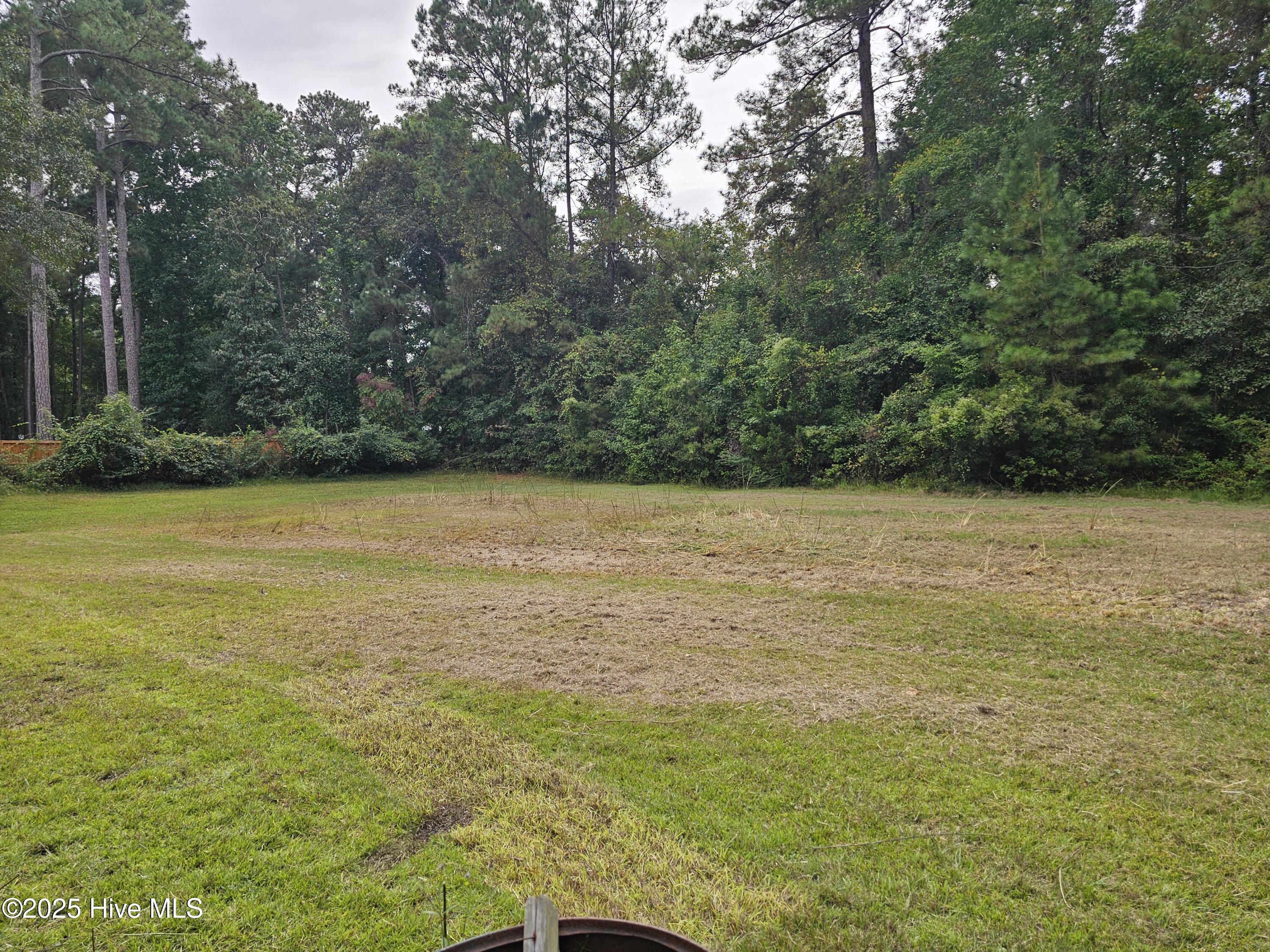 100531382 | Photo 26