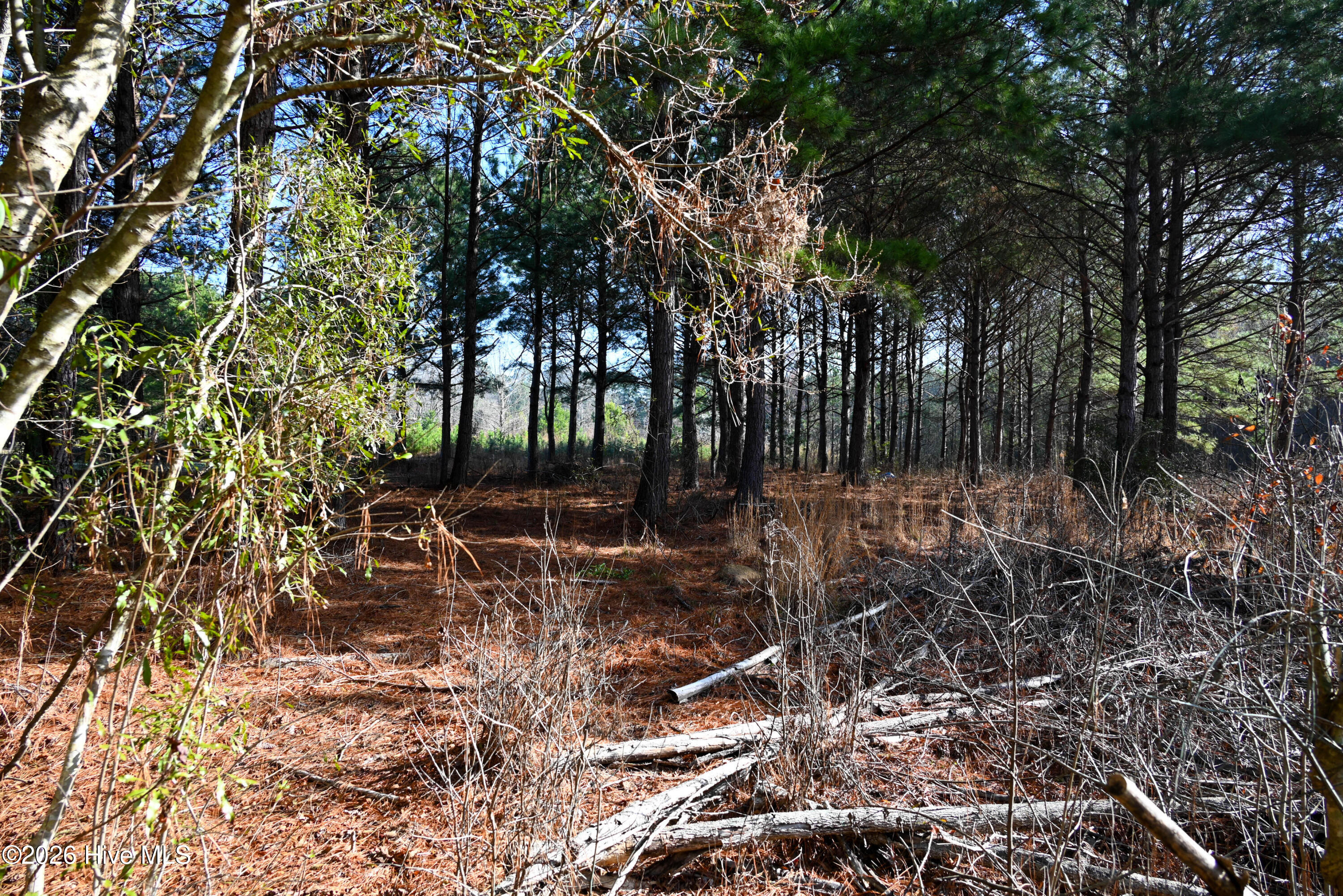 100560038 | Photo 32