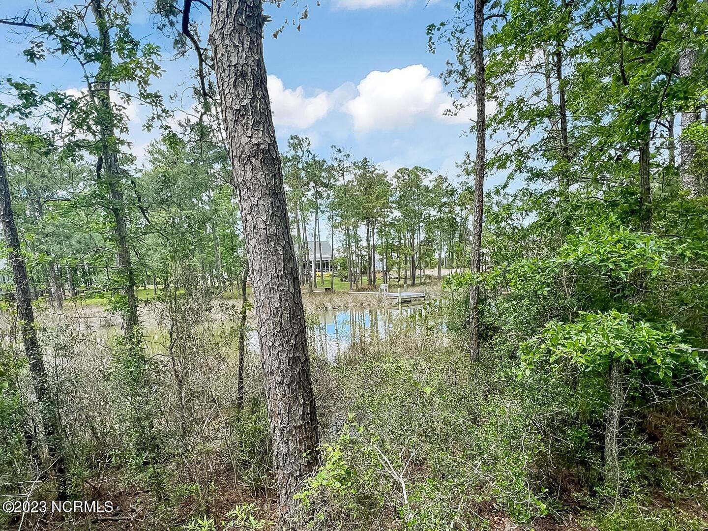 71 Mill Creek Lane, Oriental, NC, 28571