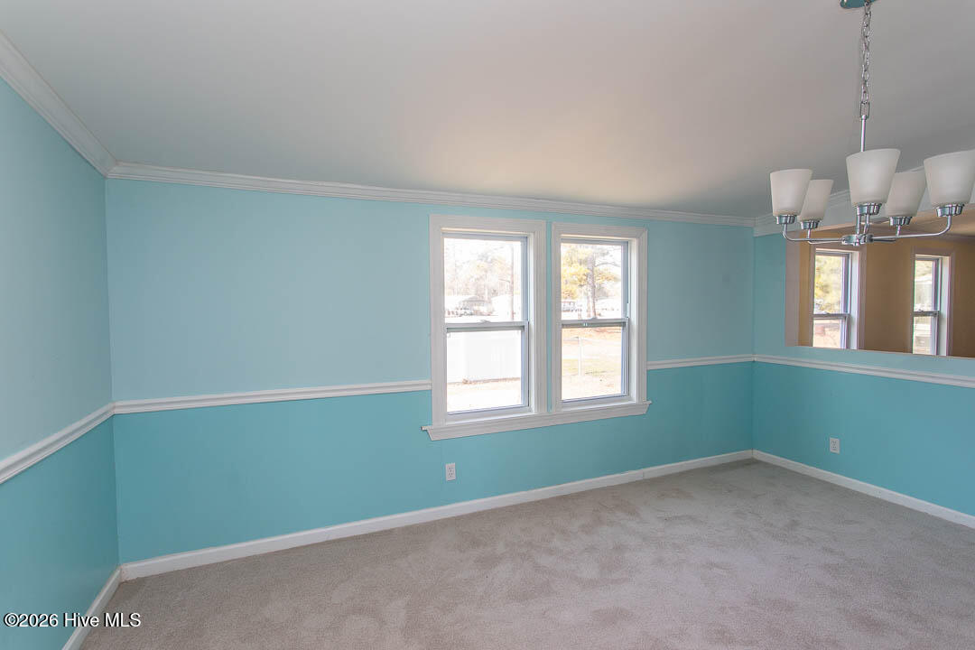 100549919 | Photo 15