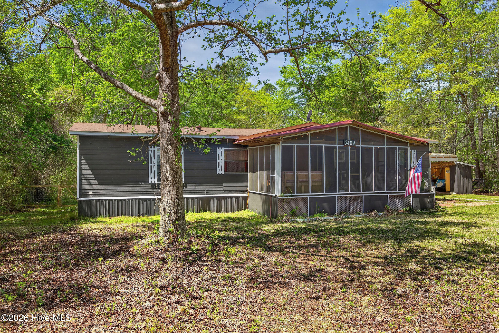 100566333 | Photo 44