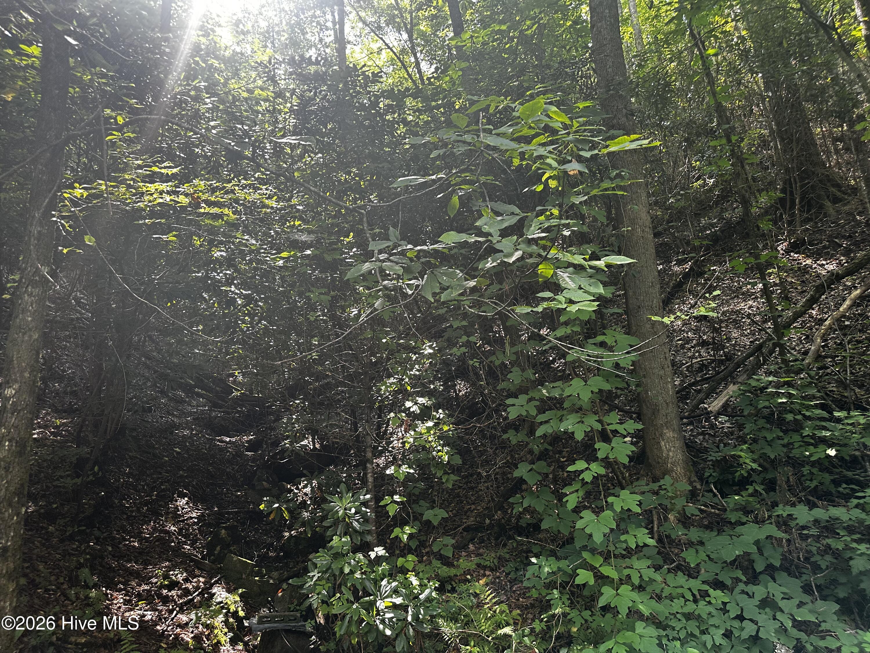 3rd image of 2710 Junaluska Rd, Andrews, NC 28901 | MLS# 100598764