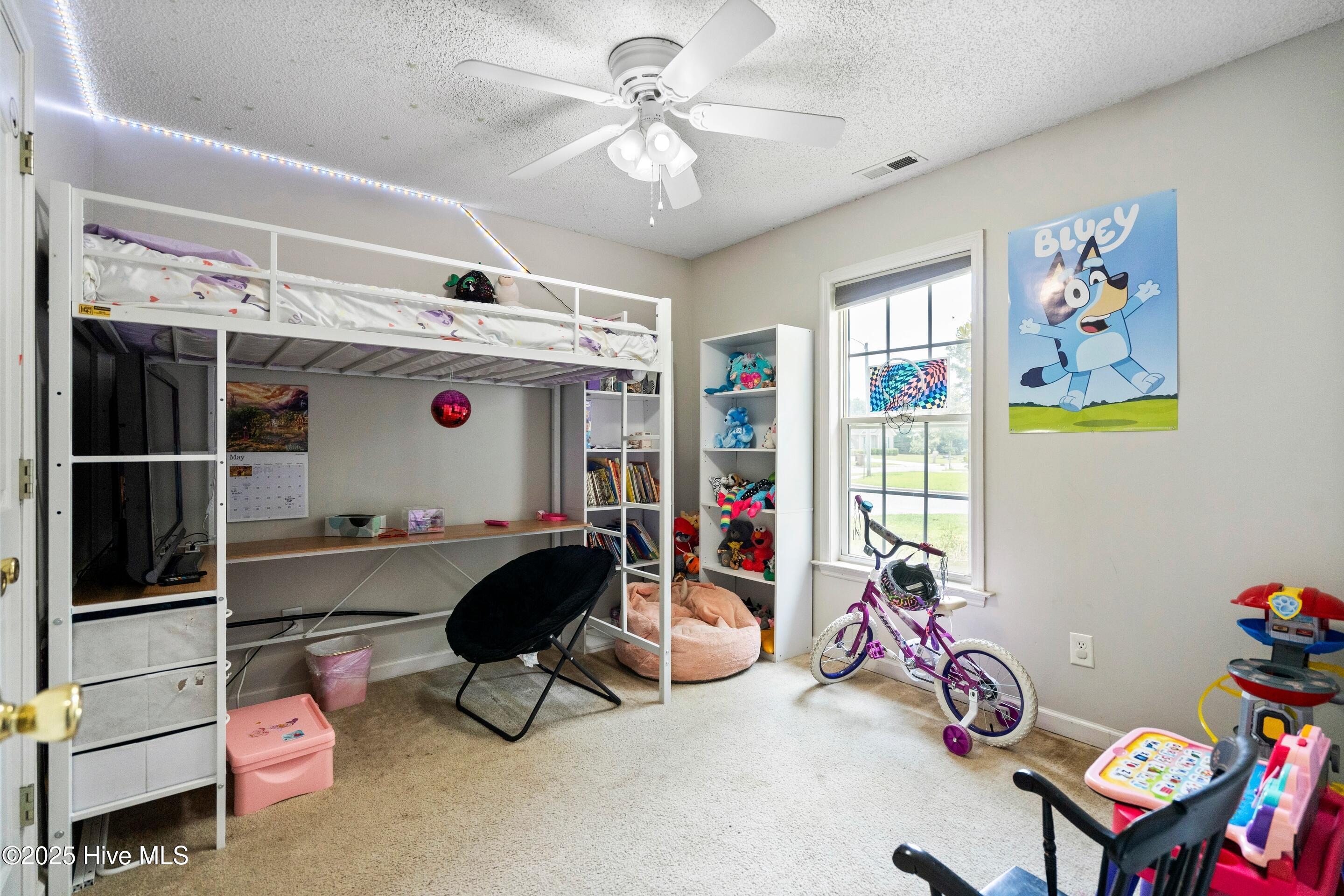 100515616 | Photo 37