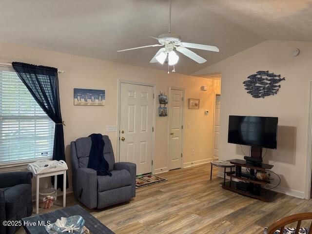 100538319 | Photo 26