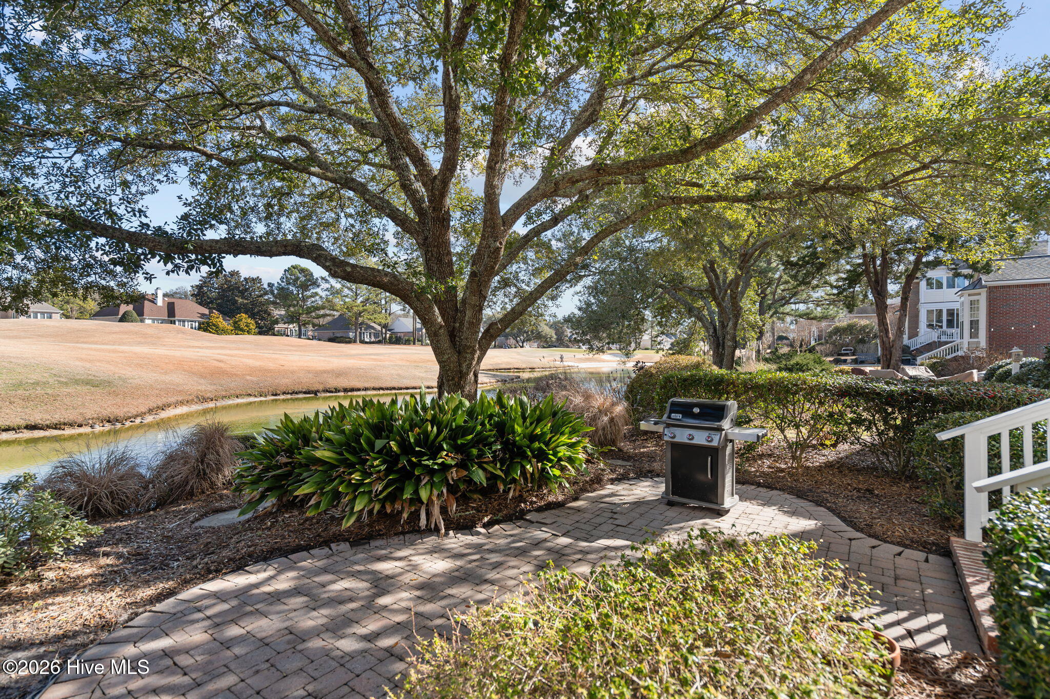 100554468 | Photo 35