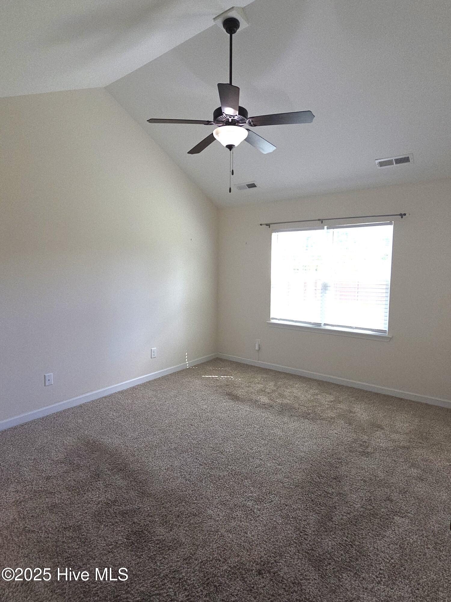 100527843 | Photo 11