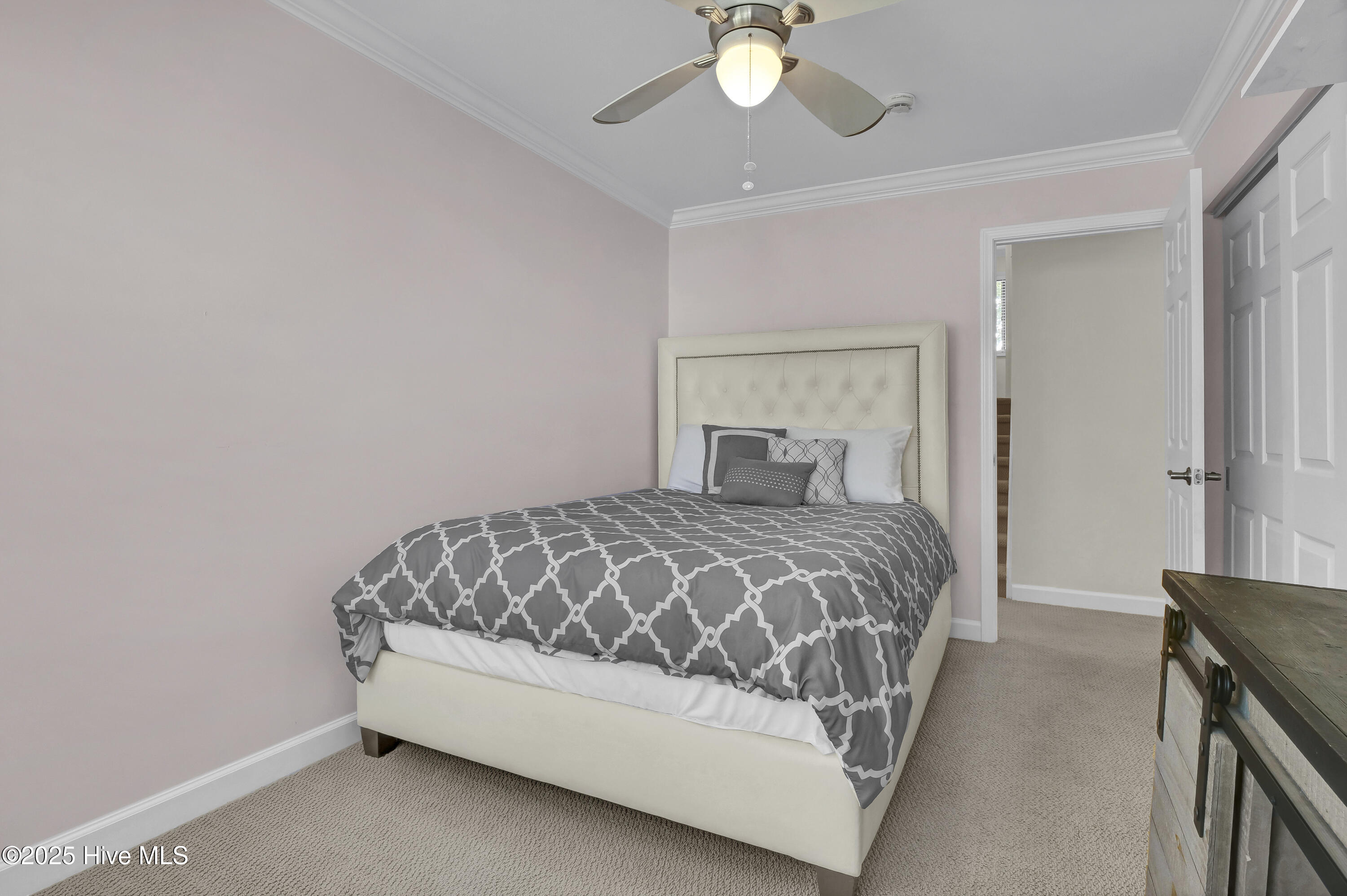 100532571 | Photo 26