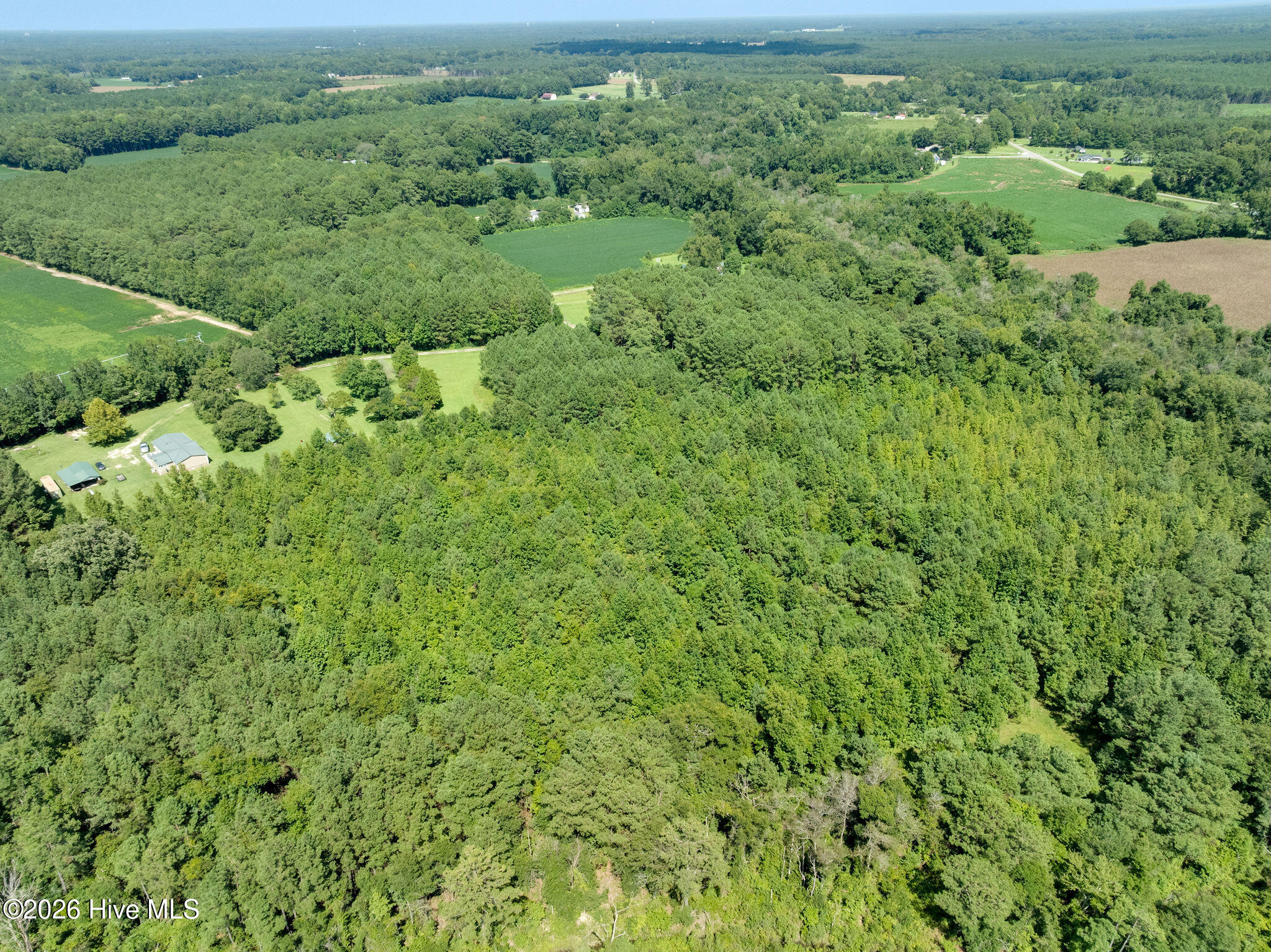 Exterior photo of 000 S Wisteria Lane, Willard, NC 28478. MLS: 100600473