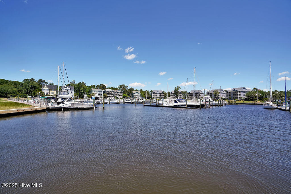 100554585 | Photo 79