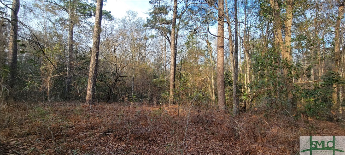 Homes for sale in Ellabell, GA | 0 Pine Needle Dr, Ellabell, GA 31308 | MLS# SA281939