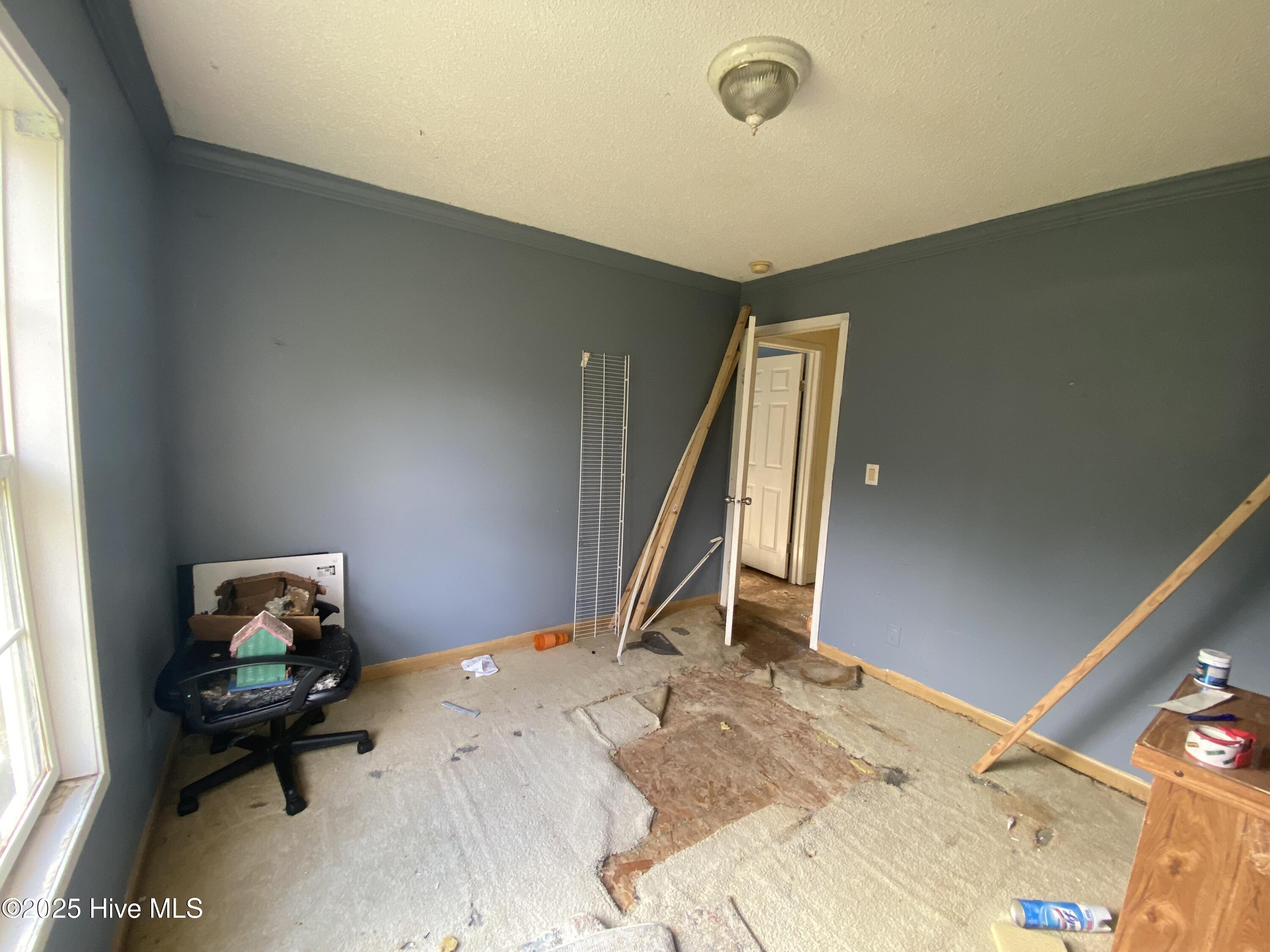 100543834 | Photo 22