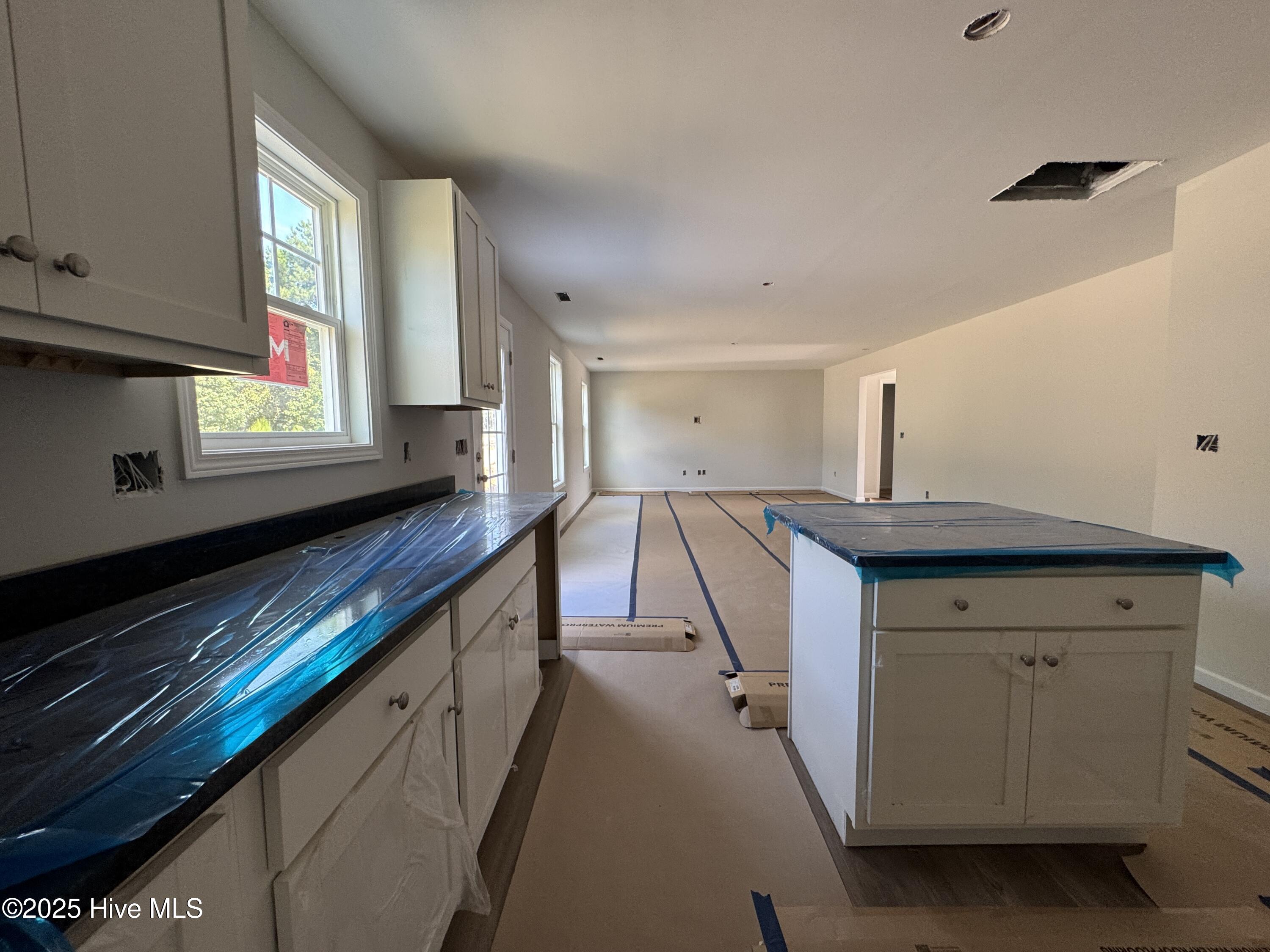 Kitchen to living Lot 53 219 Hill Valley