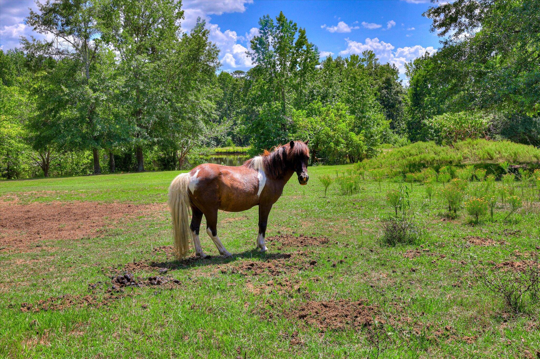 425 Whiskey Road, Grovetown, GA, 30813